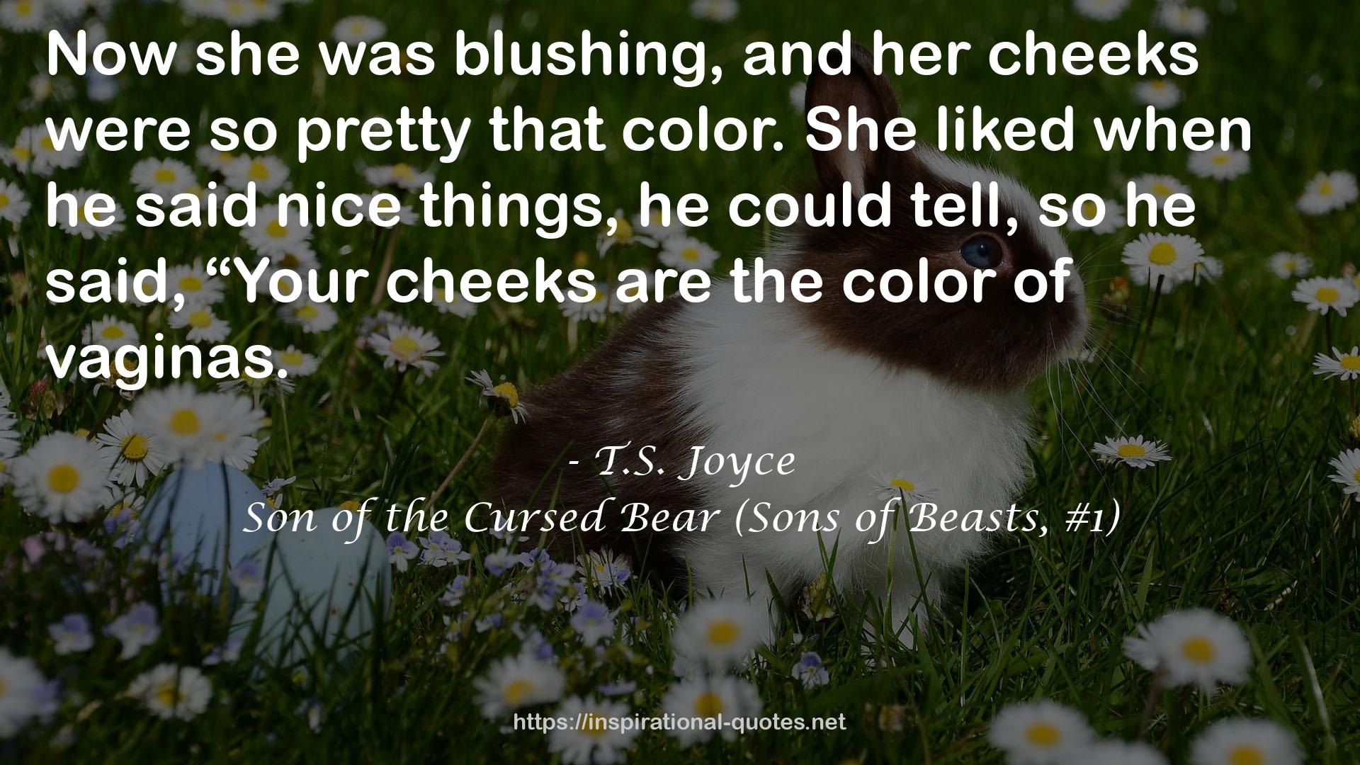 Son of the Cursed Bear (Sons of Beasts, #1) QUOTES