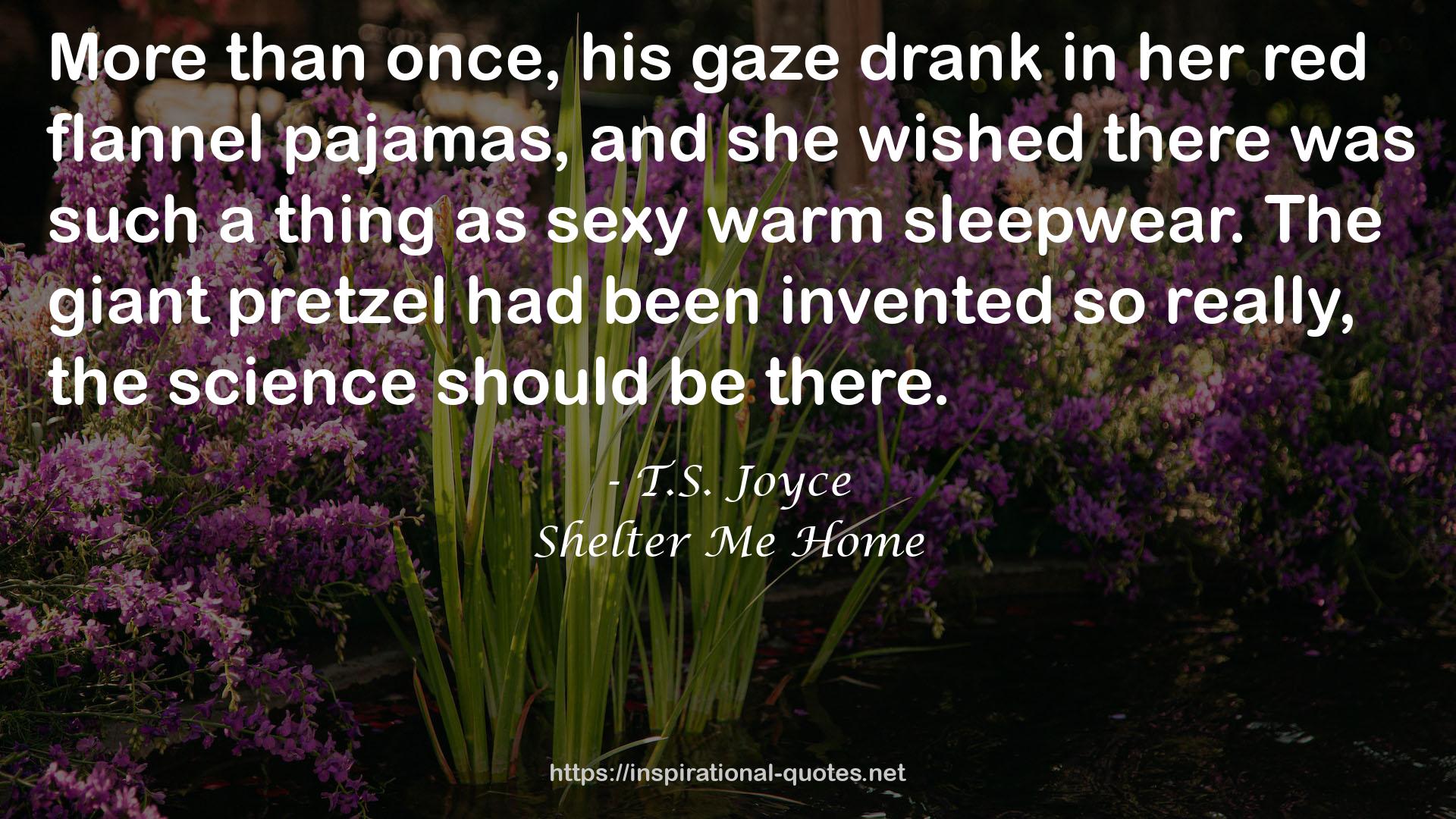 Shelter Me Home QUOTES
