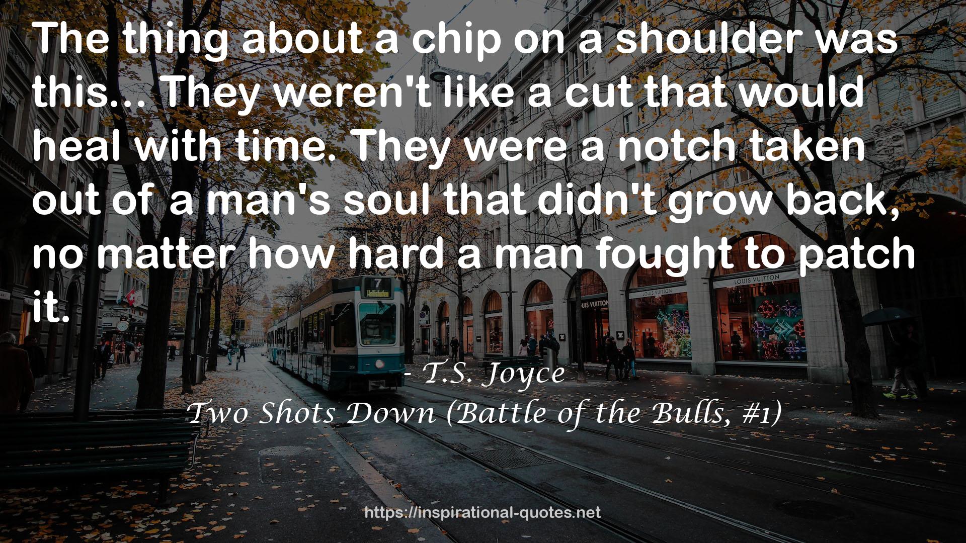 Two Shots Down (Battle of the Bulls, #1) QUOTES