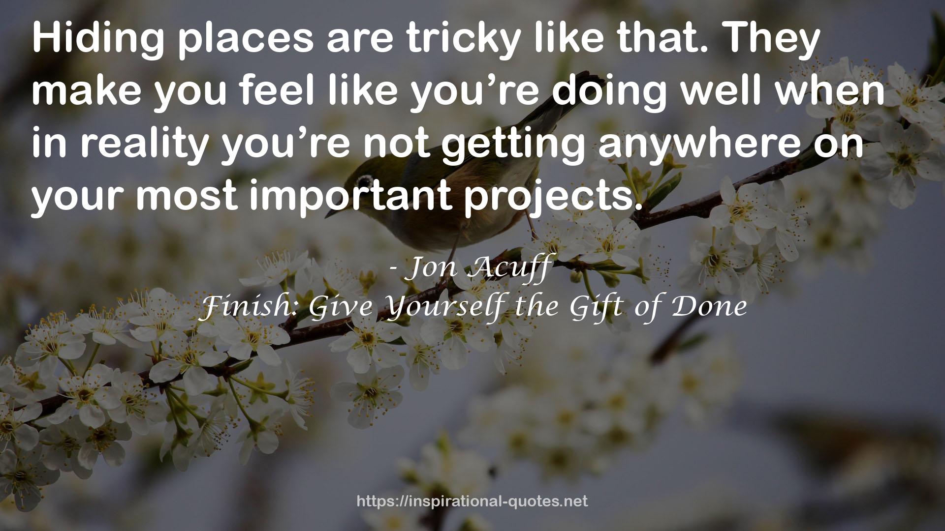 Jon Acuff QUOTES