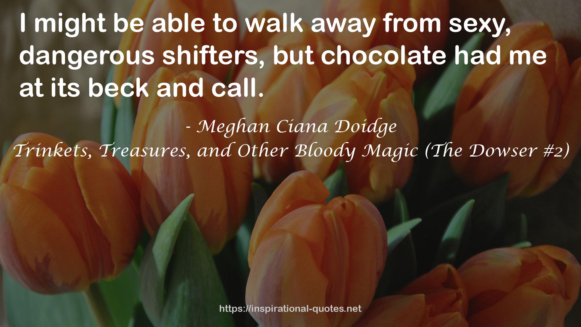 Trinkets, Treasures, and Other Bloody Magic (The Dowser #2) QUOTES