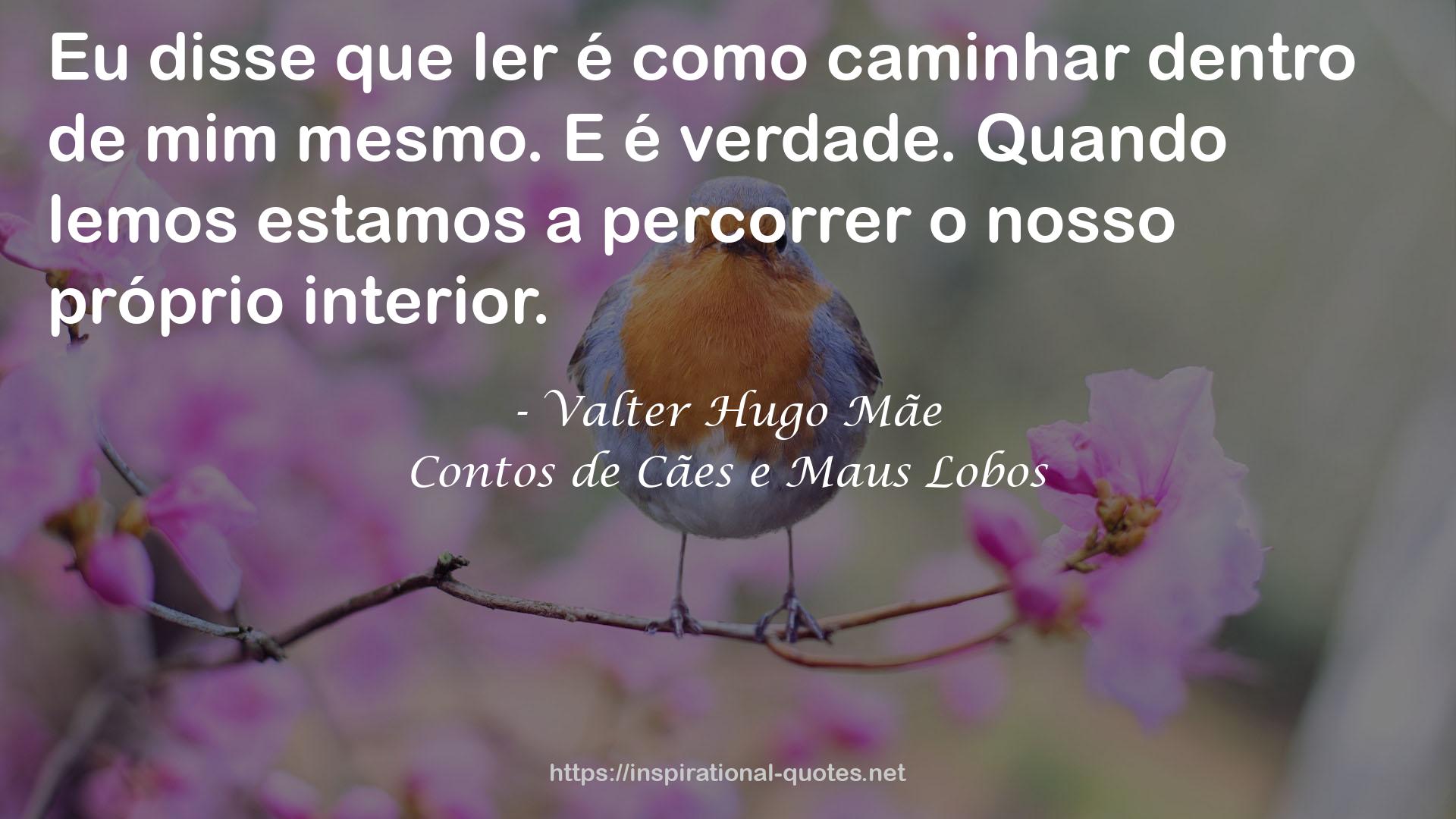 Contos de Cães e Maus Lobos QUOTES