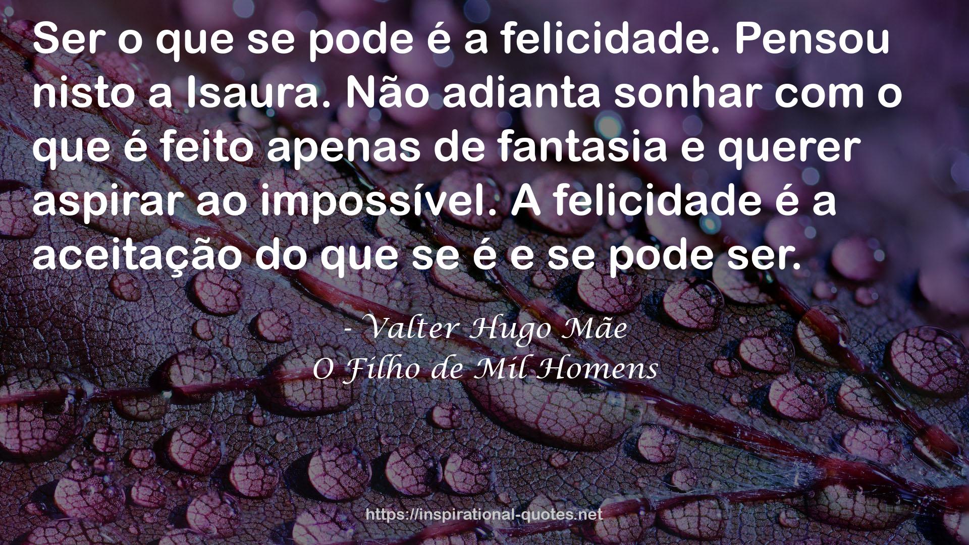 Valter Hugo Mãe QUOTES