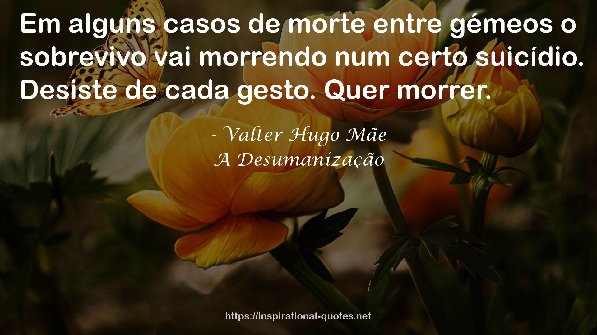 Valter Hugo Mãe QUOTES