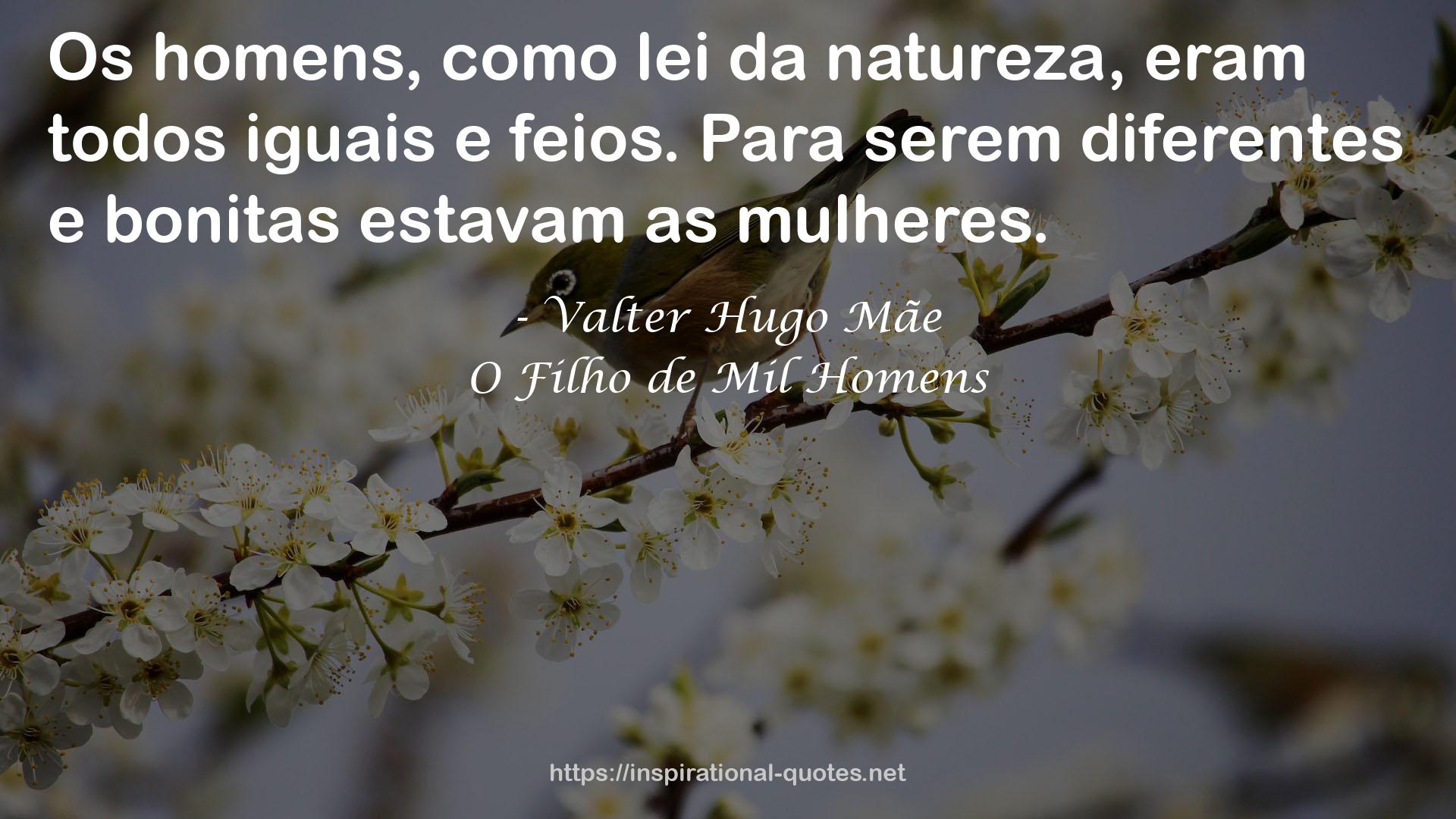 Valter Hugo Mãe QUOTES