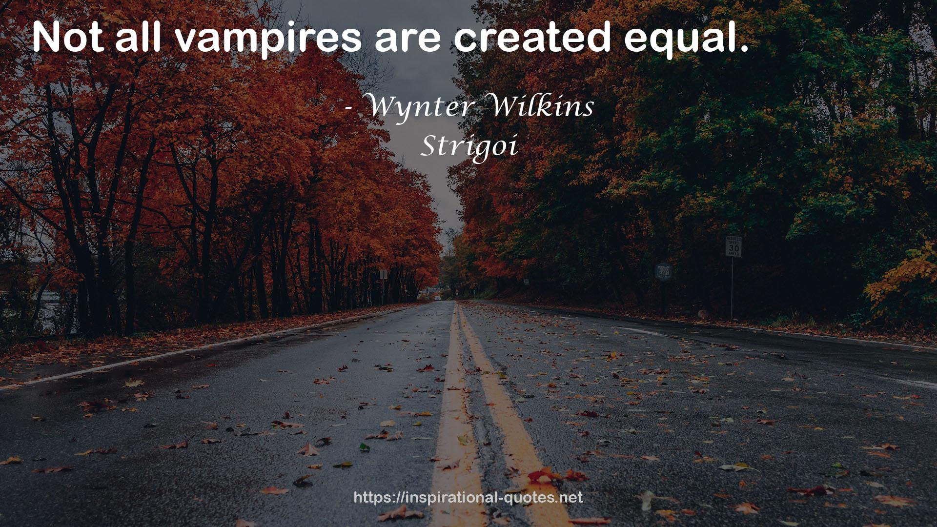Wynter Wilkins QUOTES