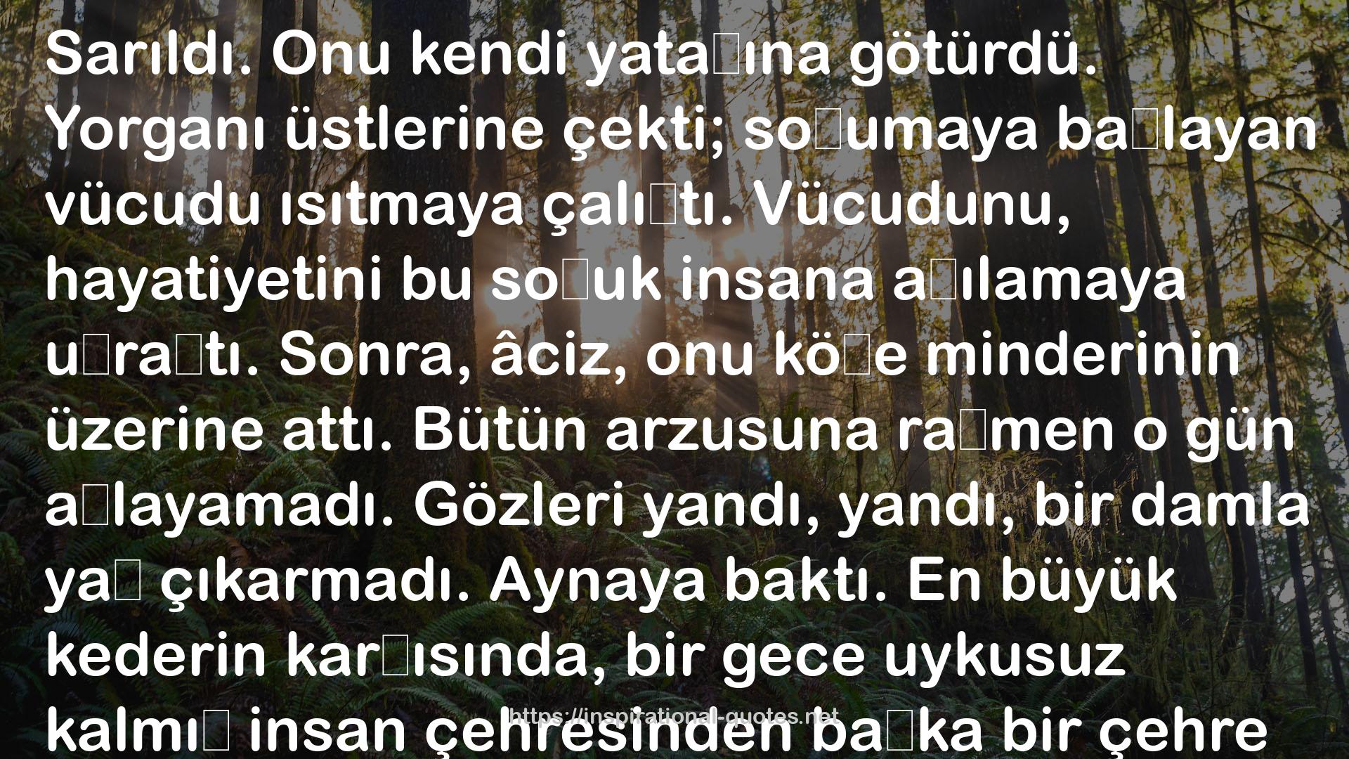 Sait Faik Abasıyanık QUOTES