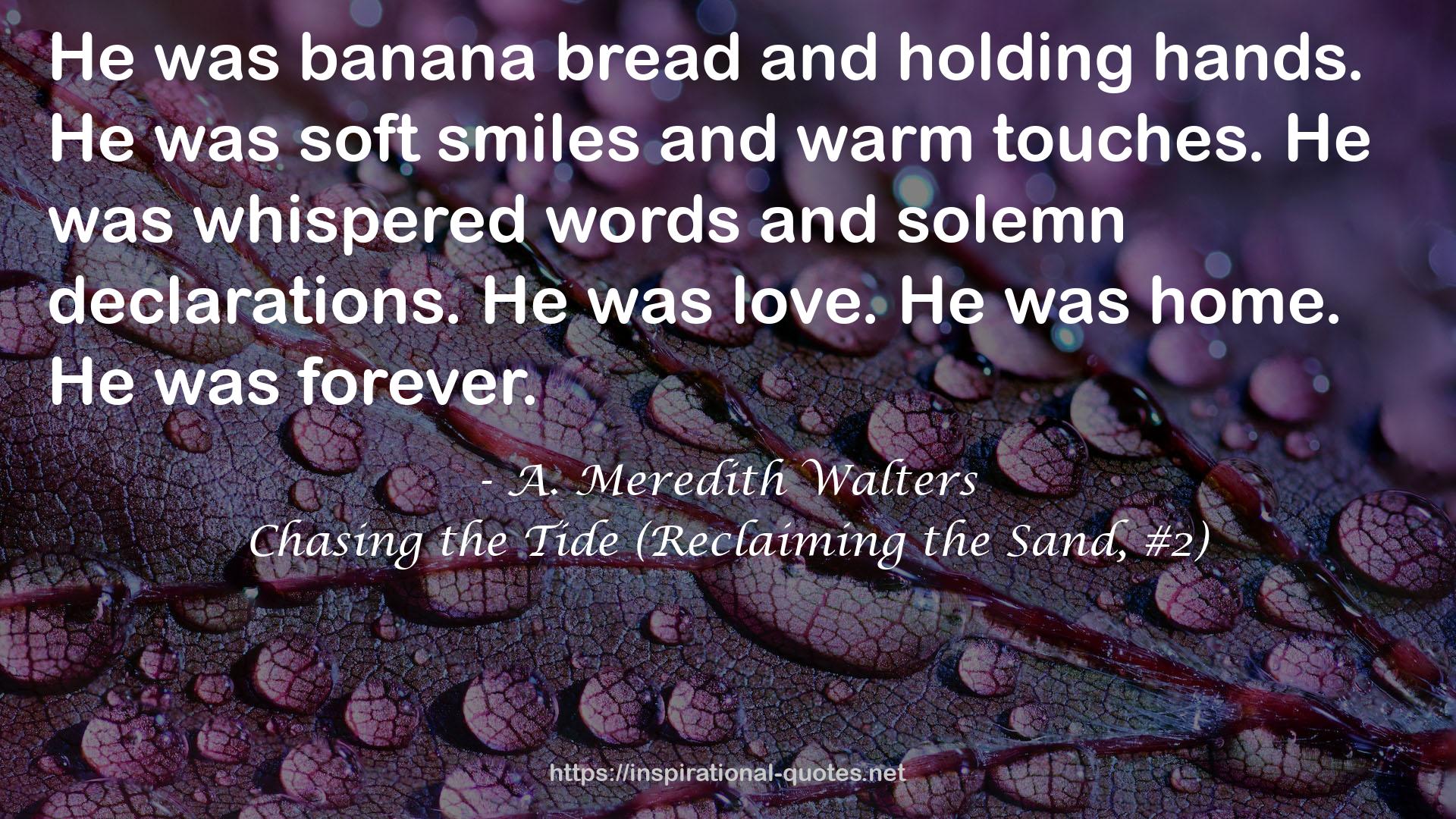 Chasing the Tide (Reclaiming the Sand, #2) QUOTES