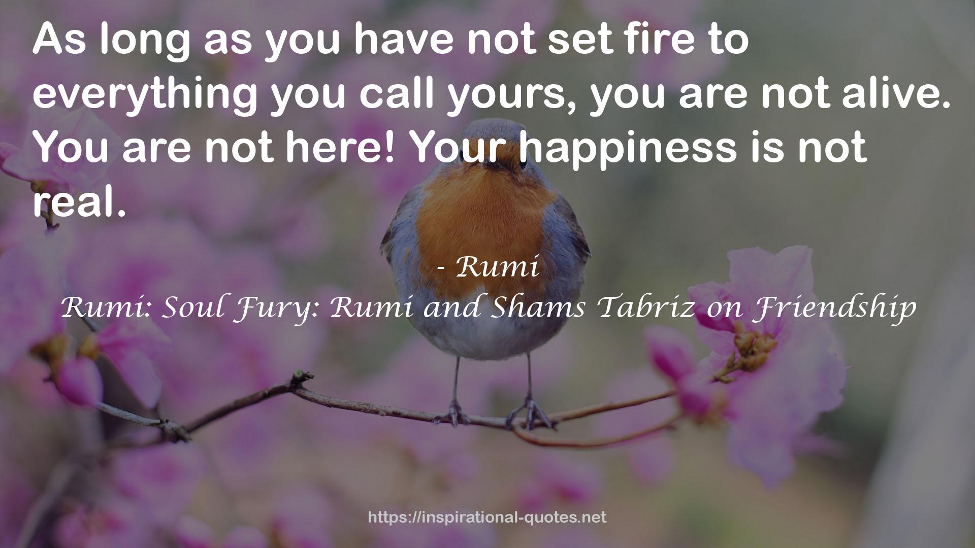 Rumi: Soul Fury: Rumi and Shams Tabriz on Friendship QUOTES