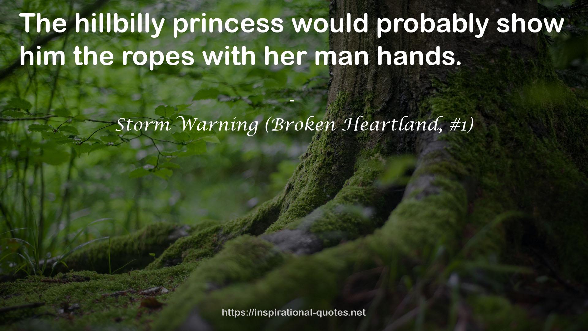 Storm Warning (Broken Heartland, #1) QUOTES