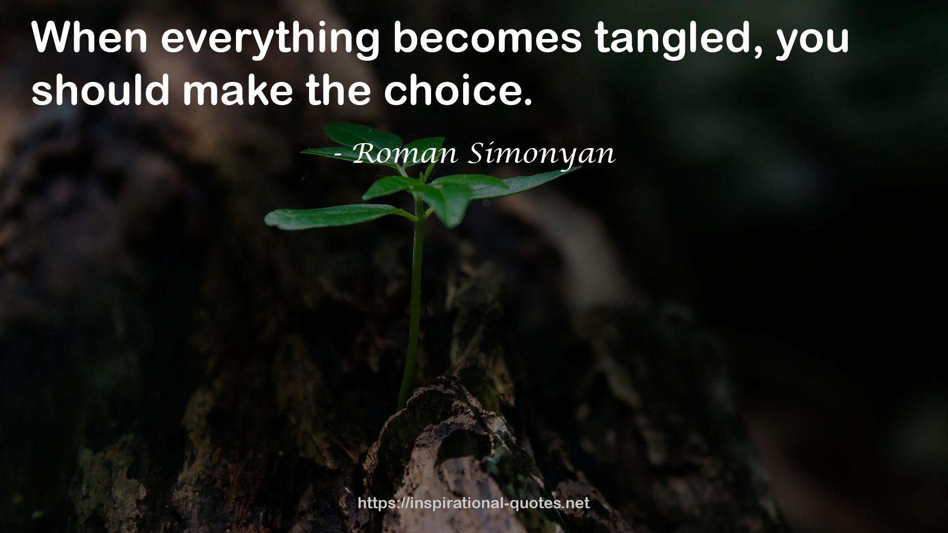 Roman Simonyan QUOTES