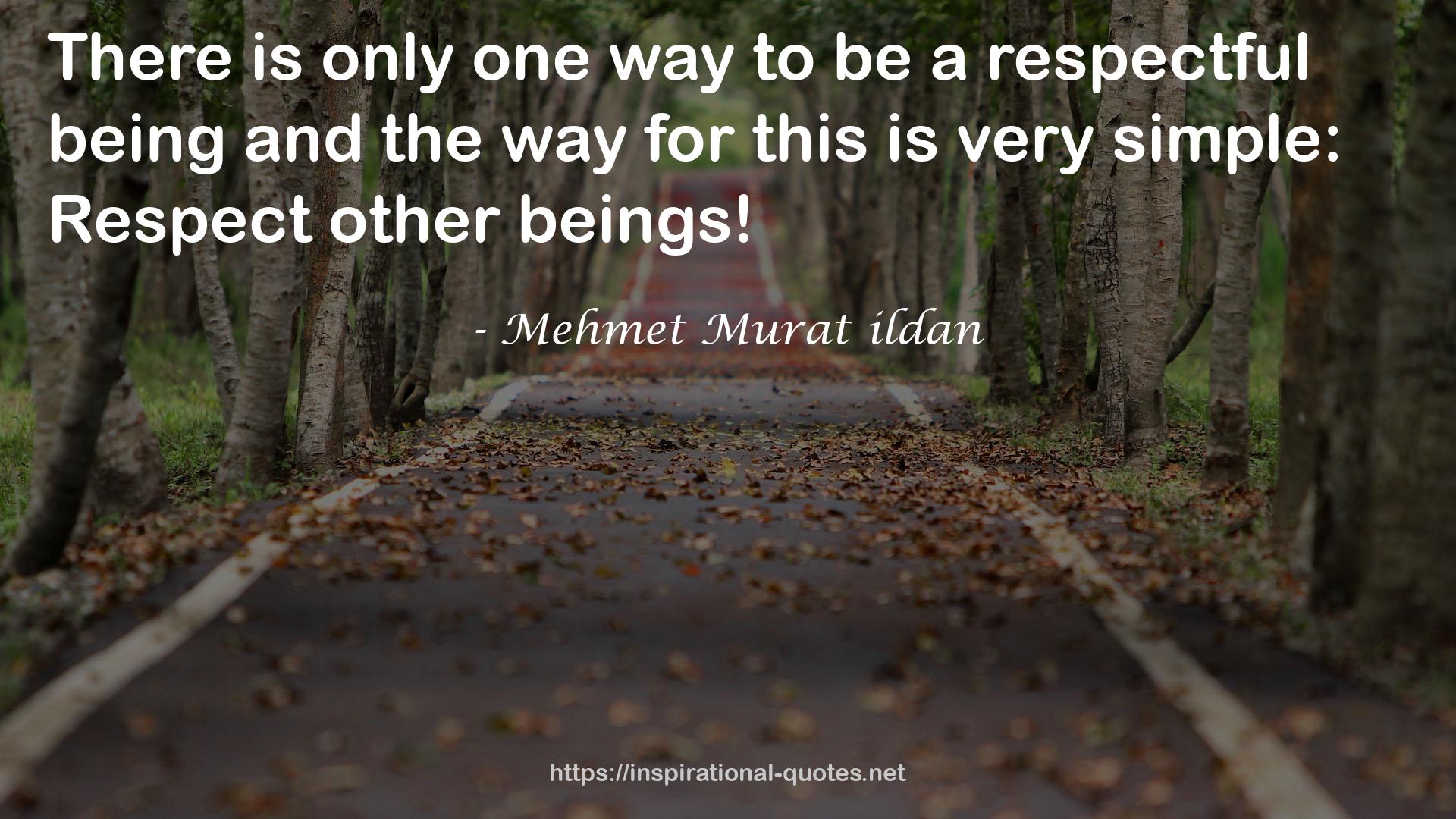 a respectful being  QUOTES