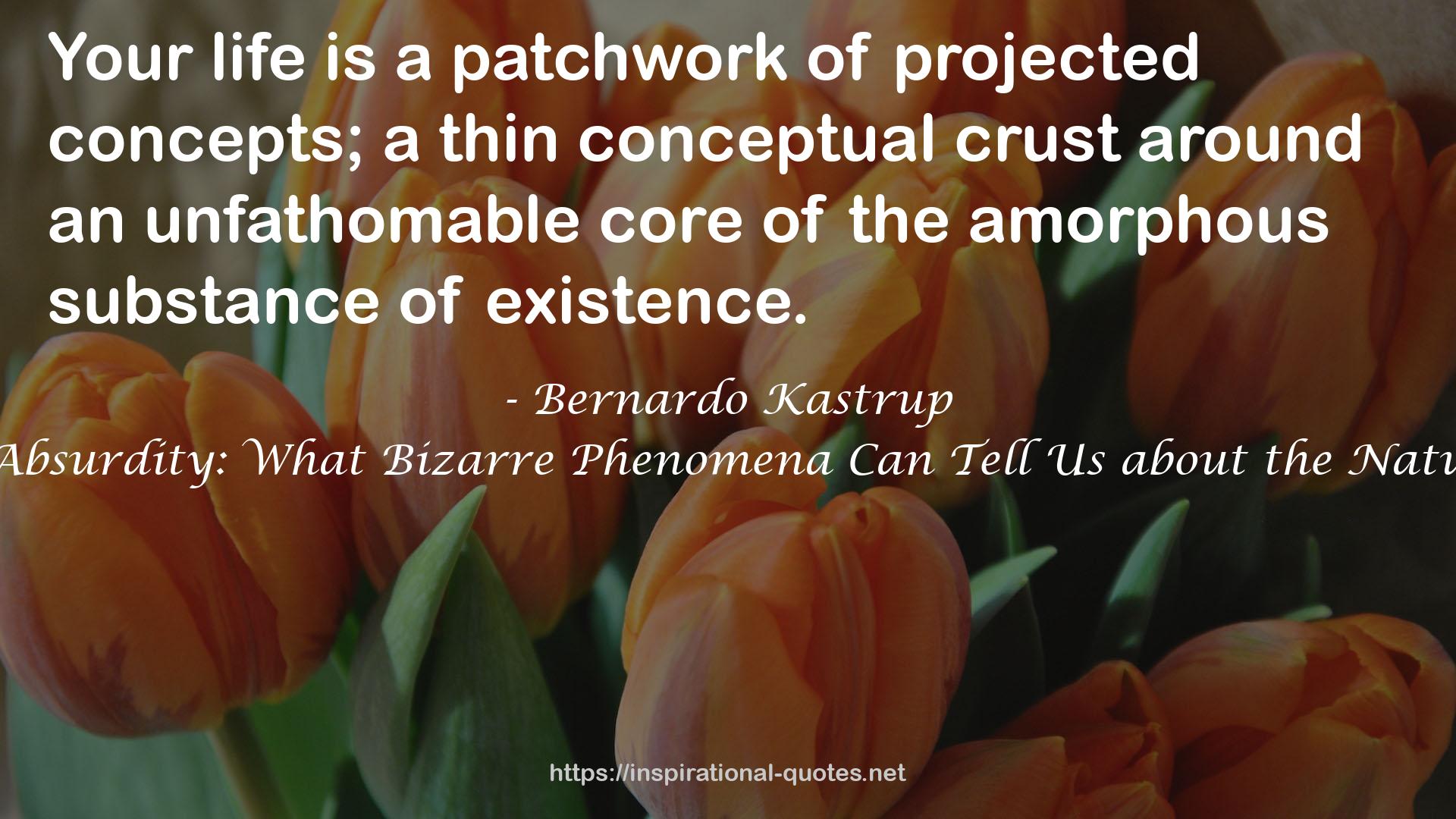 Bernardo Kastrup QUOTES