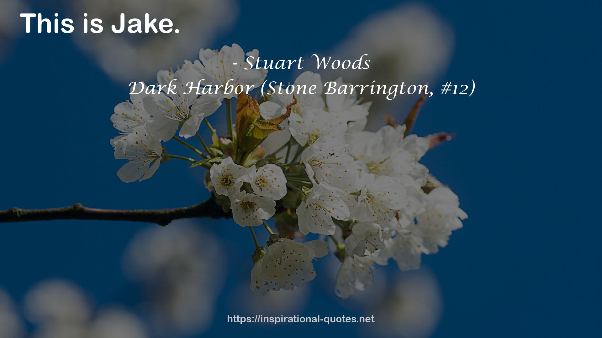 Dark Harbor (Stone Barrington, #12) QUOTES