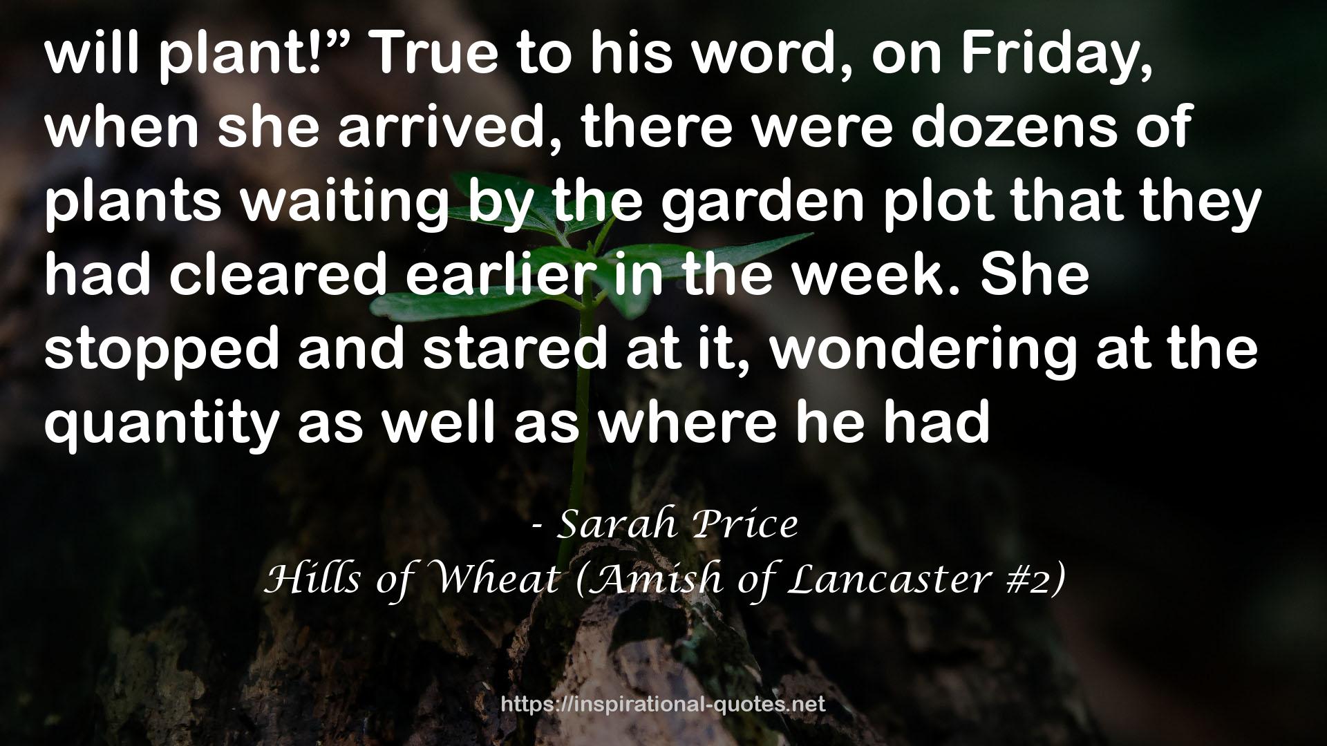 Hills of Wheat (Amish of Lancaster #2) QUOTES
