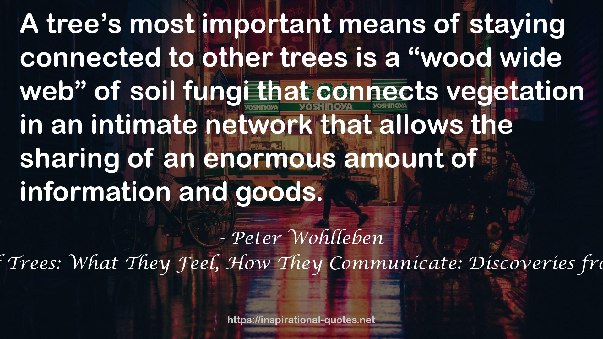 an intimate network  QUOTES