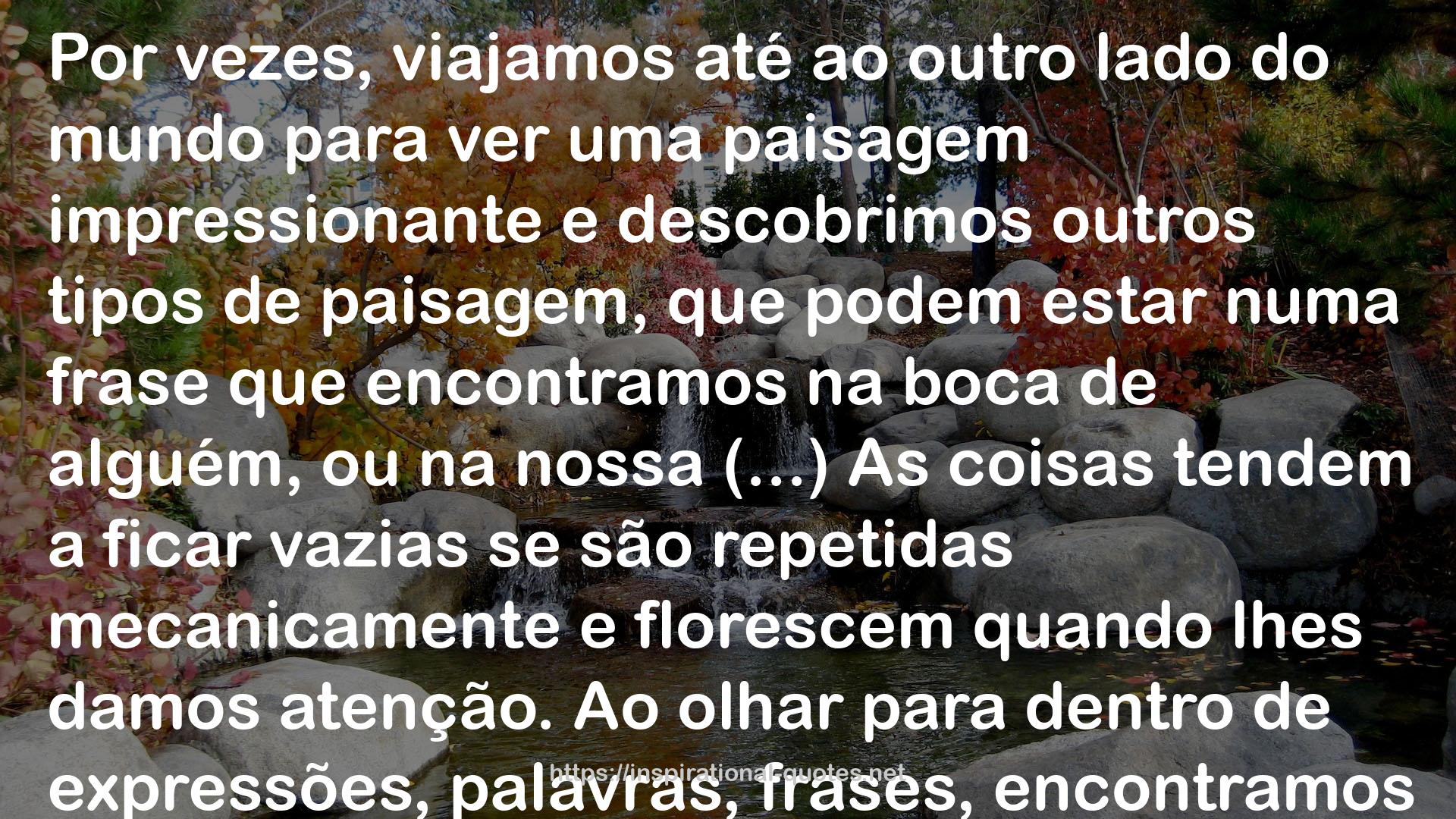 O Vício dos Livros QUOTES