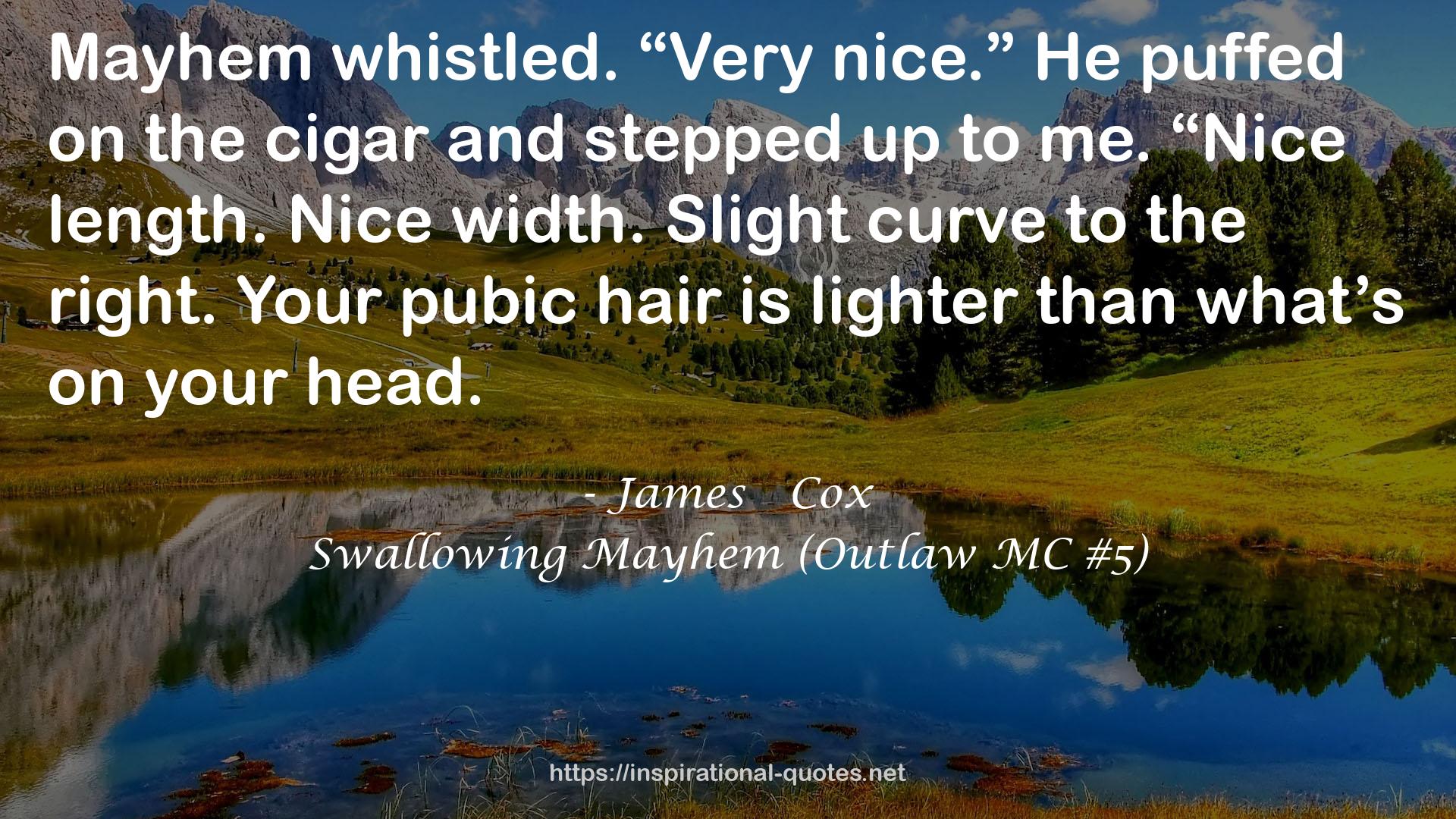 Swallowing Mayhem (Outlaw MC #5) QUOTES