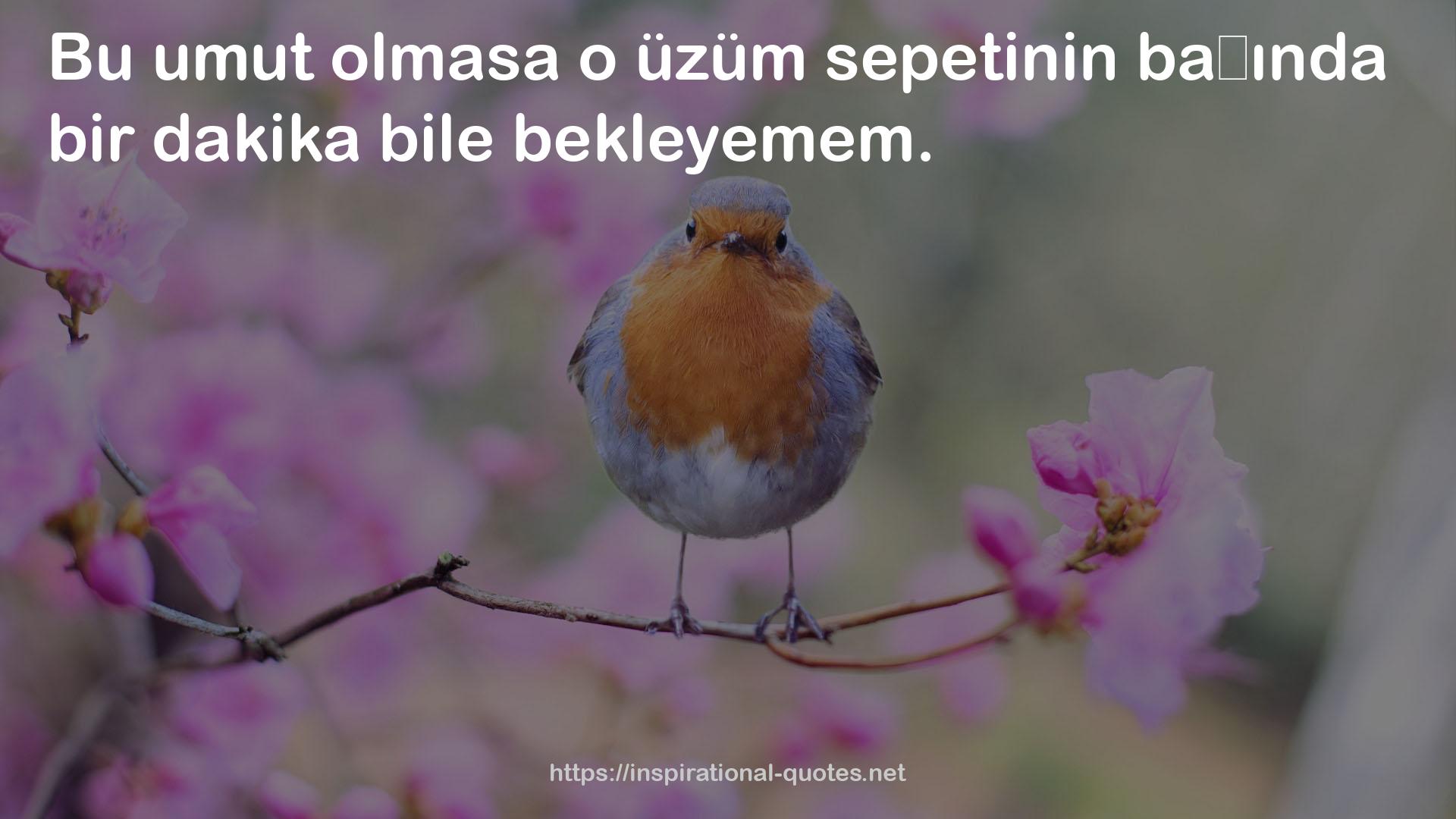 umut  QUOTES