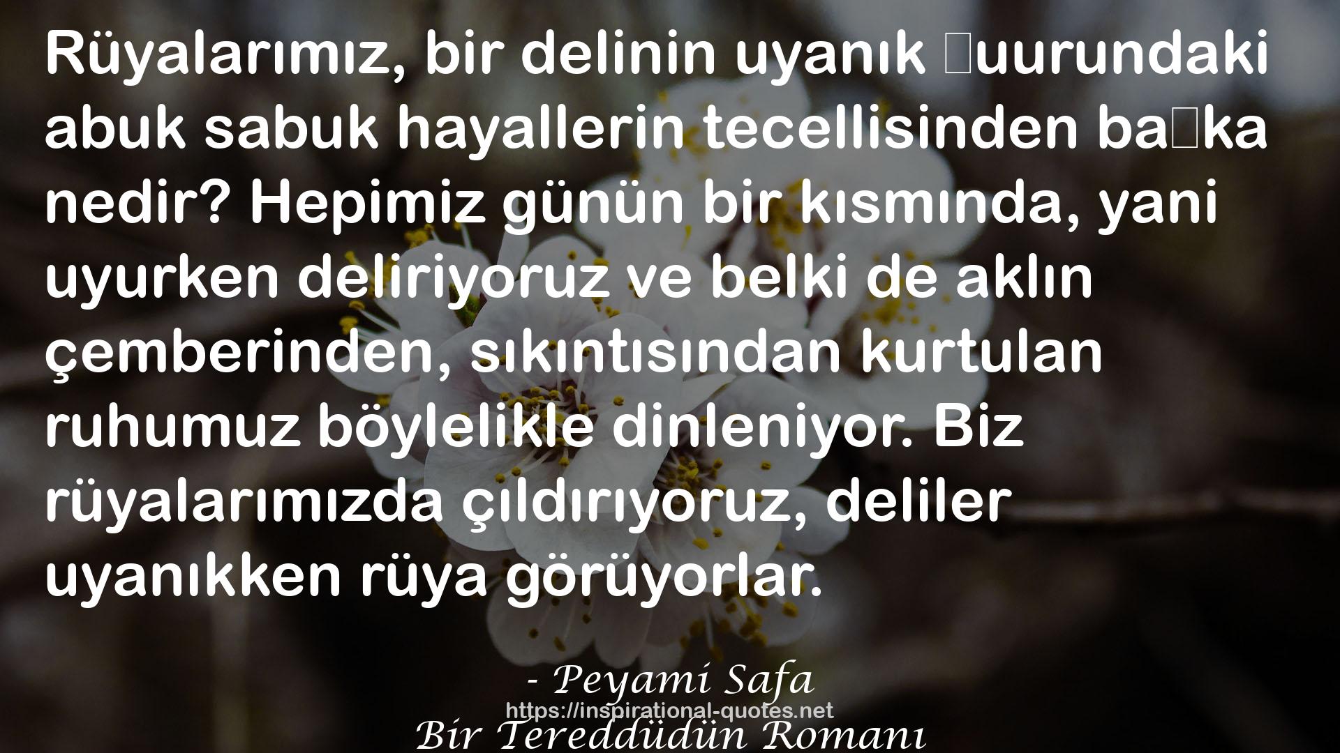 Peyami Safa QUOTES