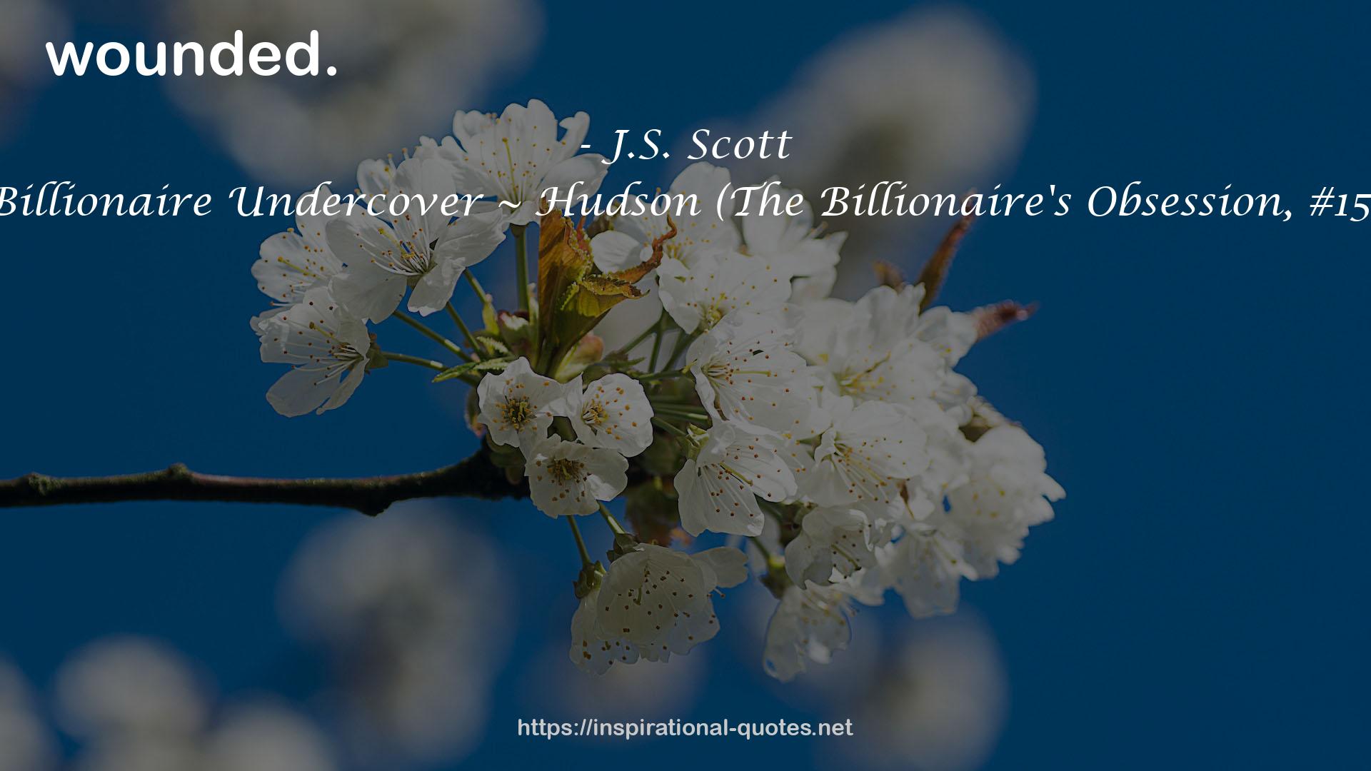 Billionaire Undercover ~ Hudson (The Billionaire's Obsession, #15) QUOTES