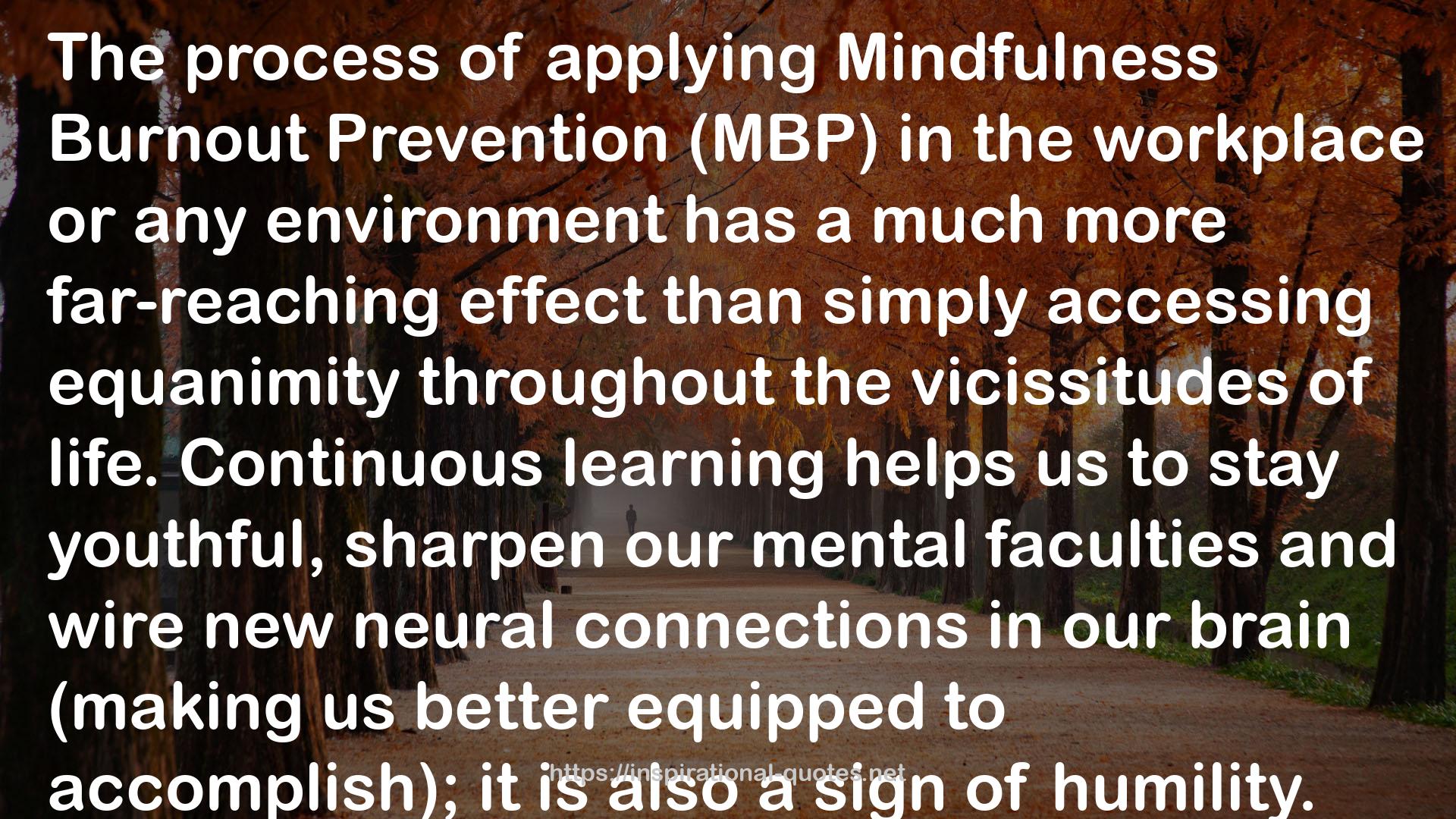 Mindfulness Burnout Prevention  QUOTES