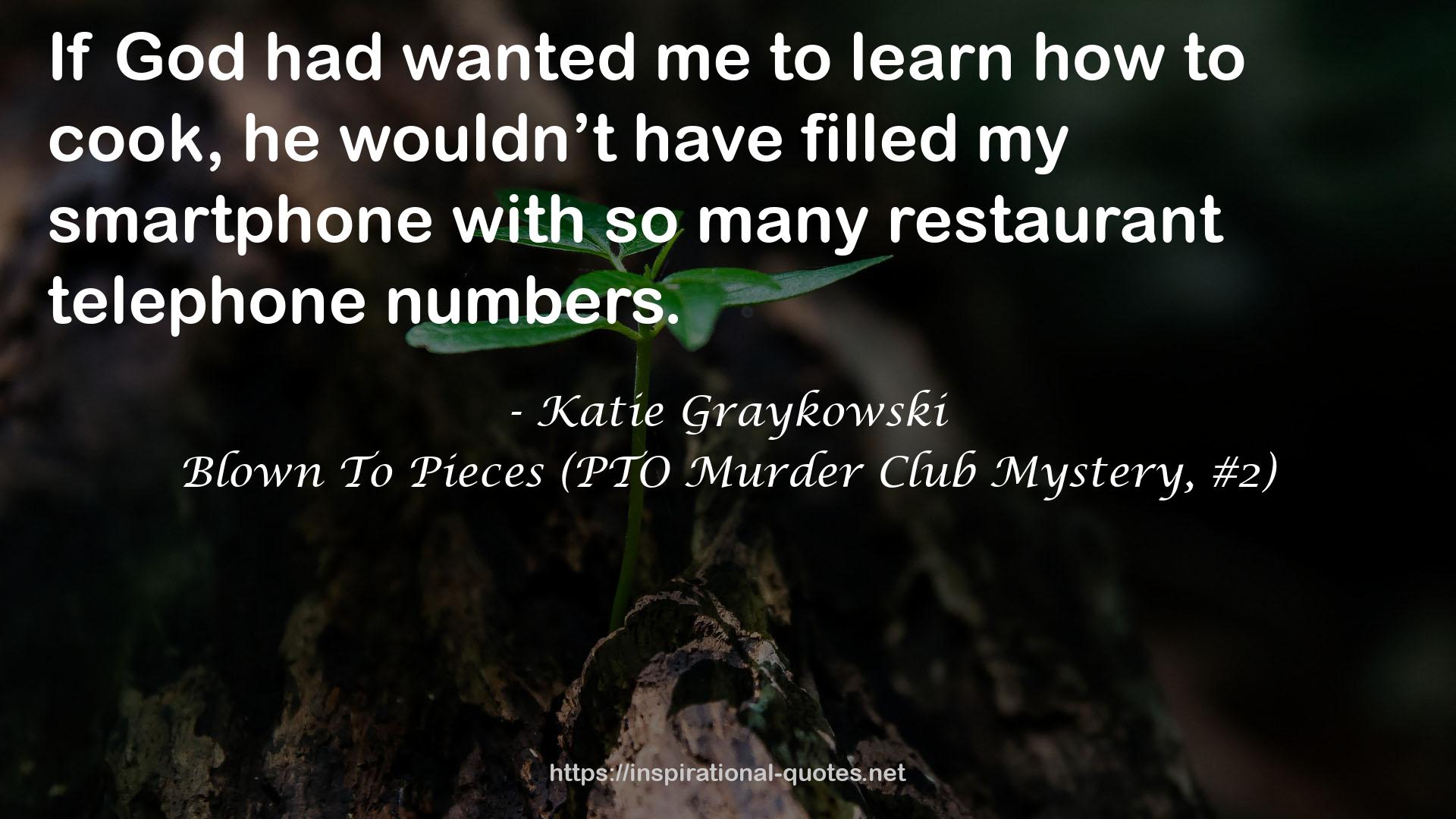 Blown To Pieces (PTO Murder Club Mystery, #2) QUOTES