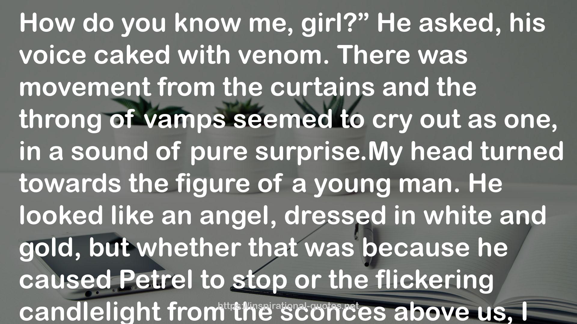 vamps  QUOTES