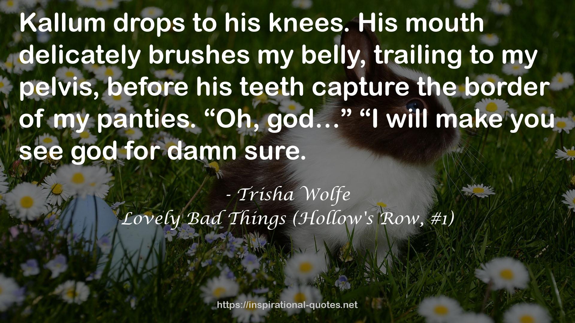 Lovely Bad Things (Hollow's Row, #1) QUOTES