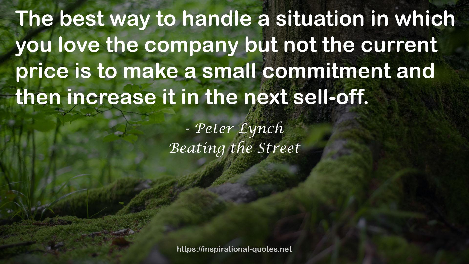 Peter Lynch QUOTES
