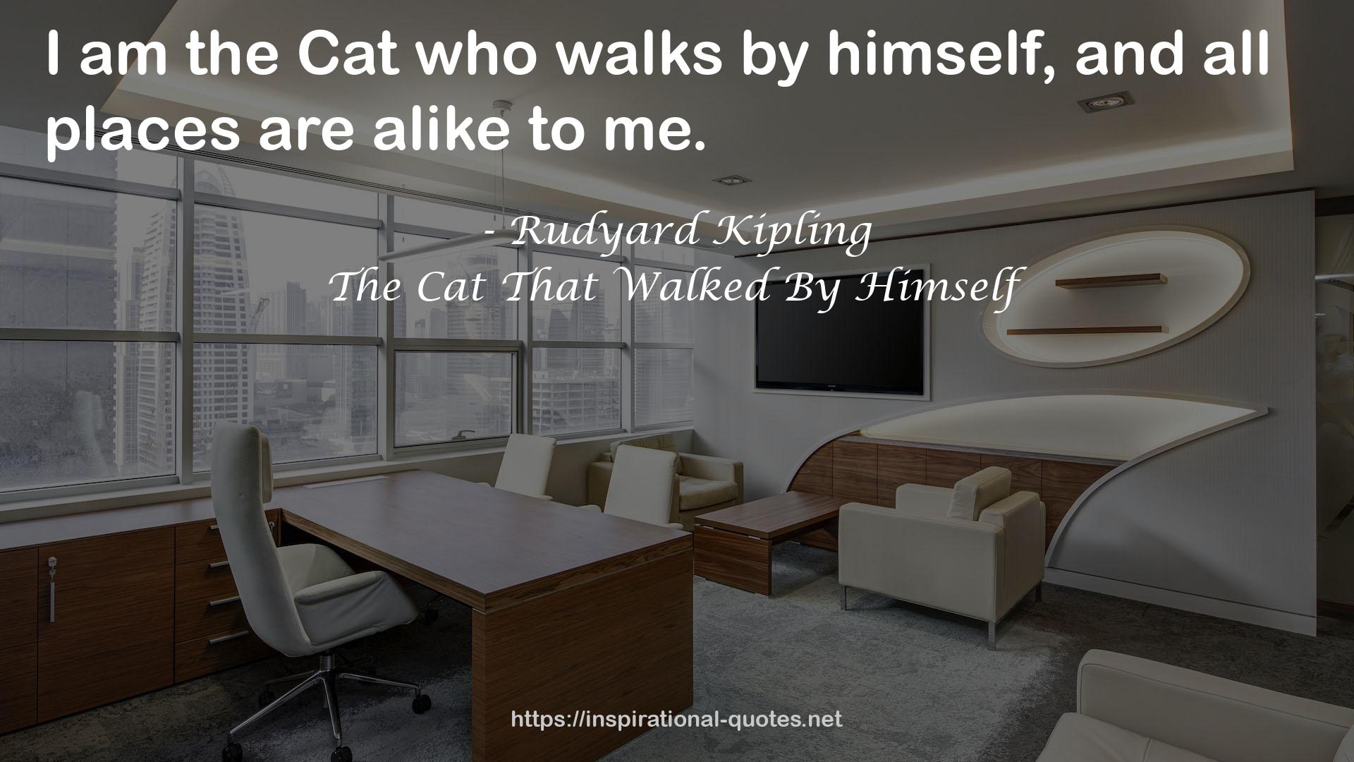 The Cat That Walked By Himself QUOTES