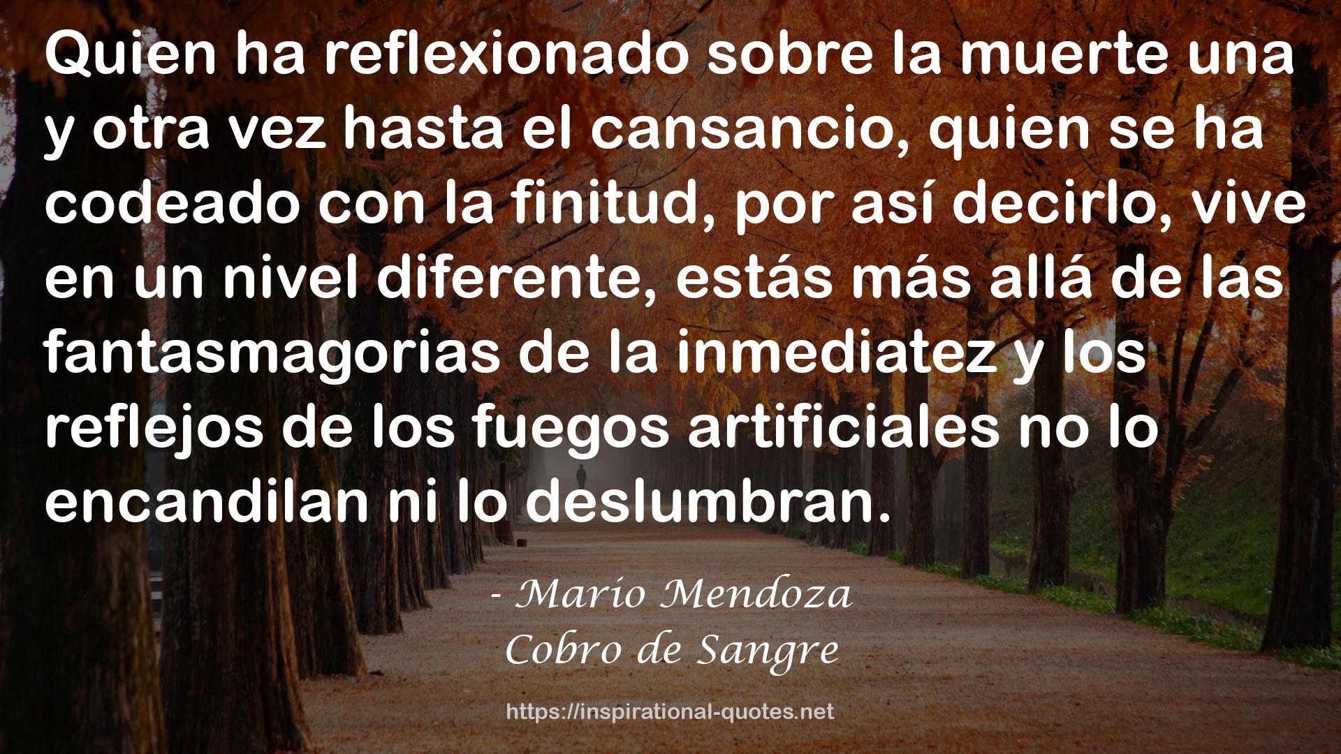 Mario Mendoza QUOTES