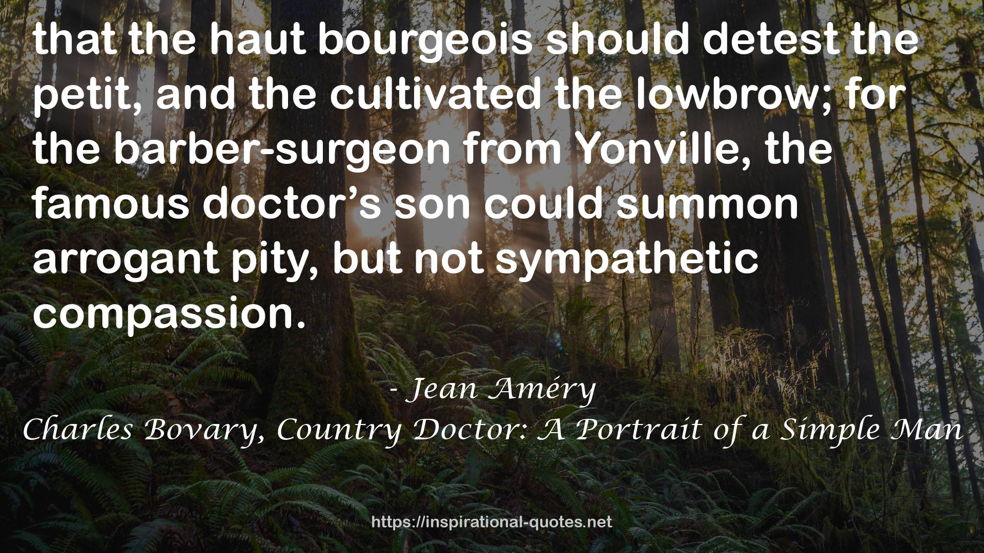 Charles Bovary, Country Doctor: A Portrait of a Simple Man QUOTES