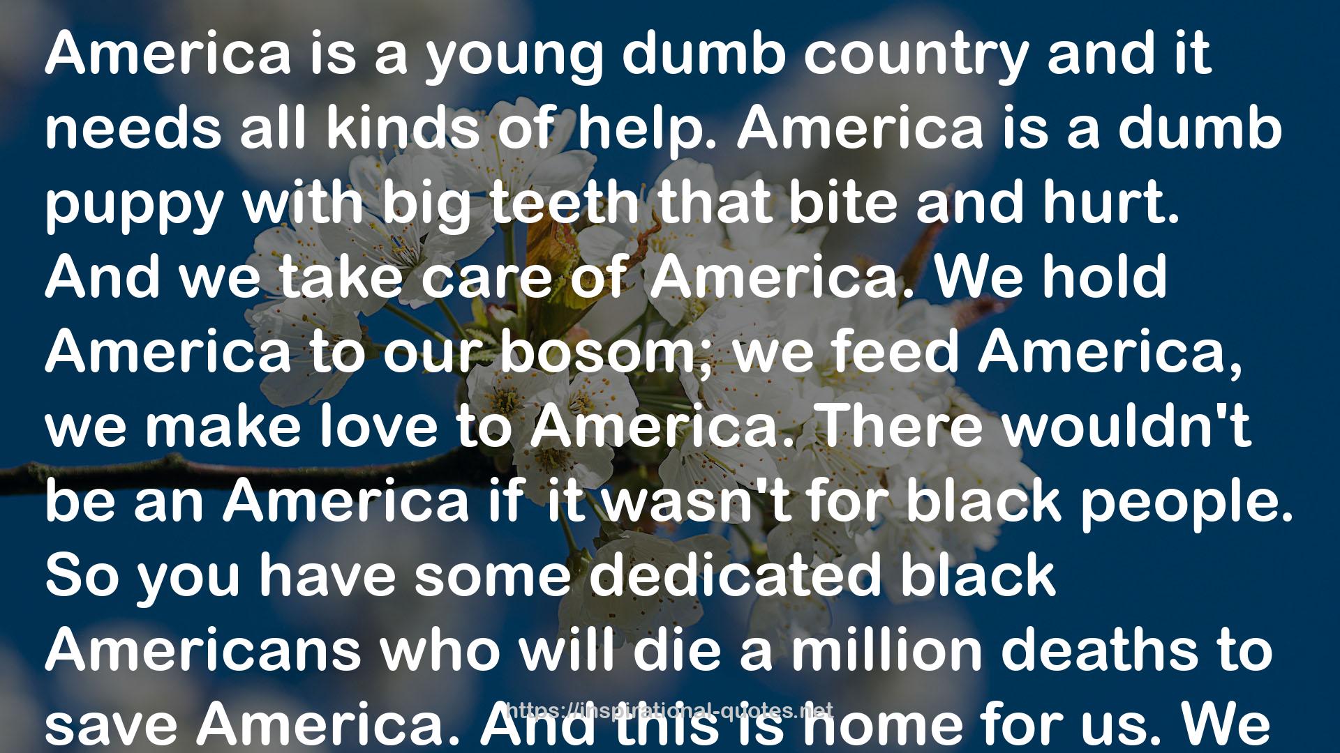 some dedicated black Americans  QUOTES