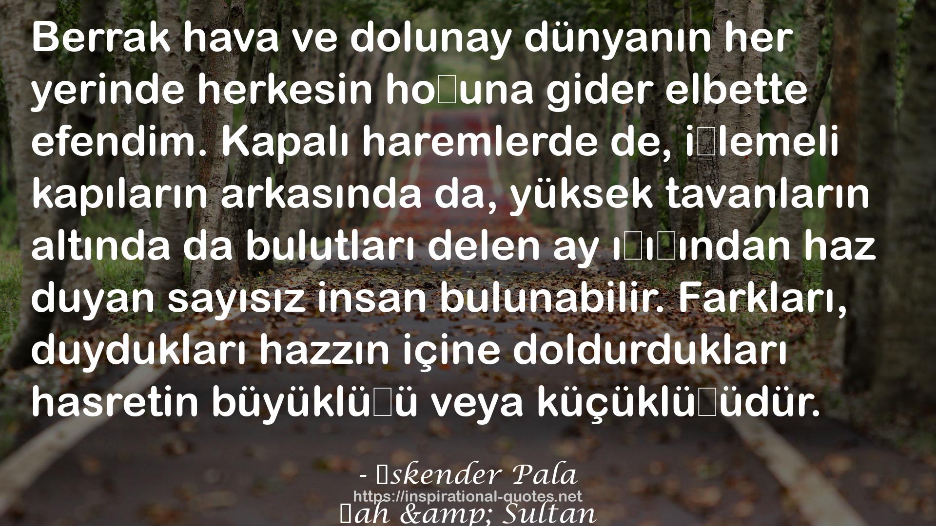 Şah & Sultan QUOTES