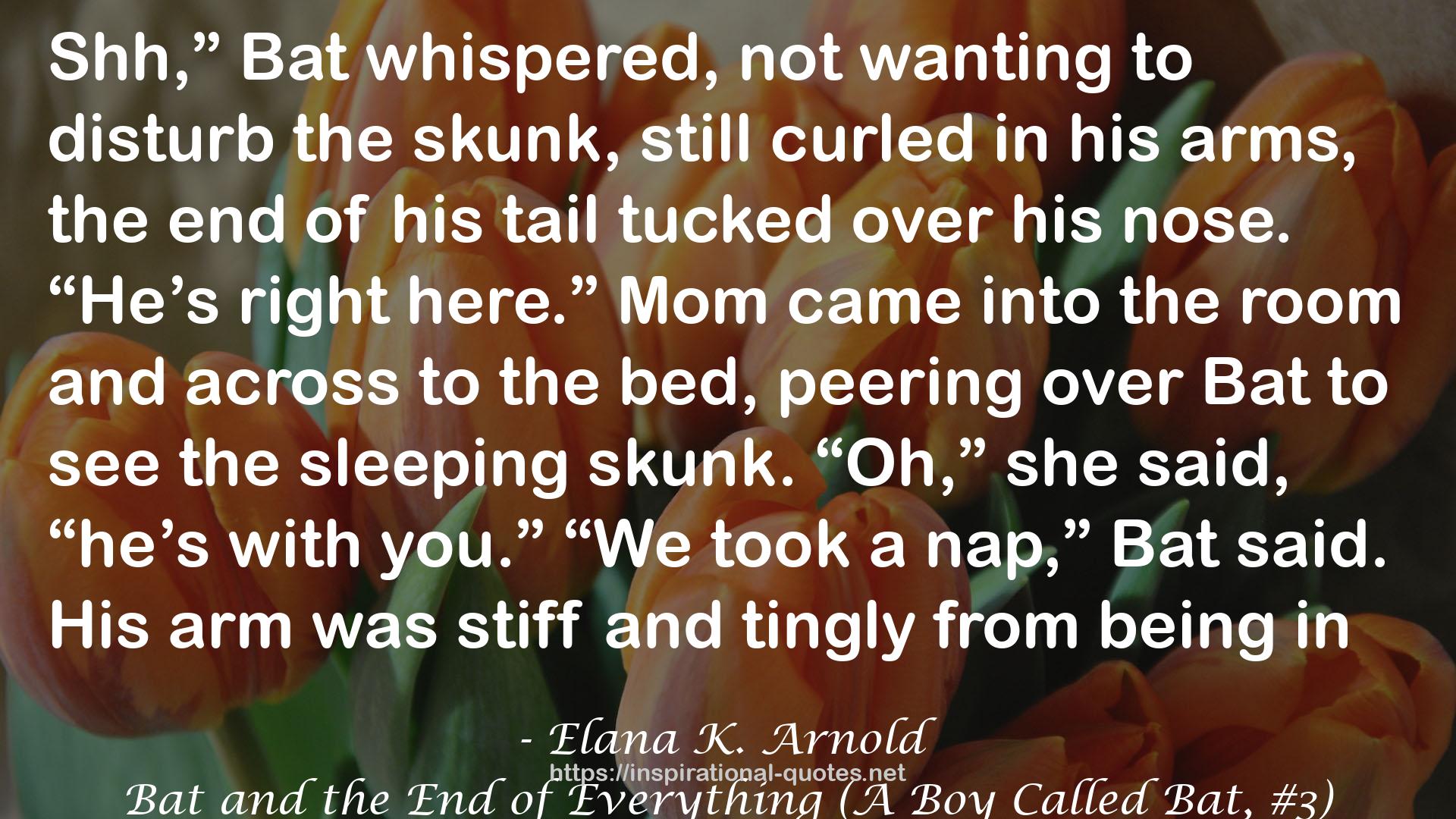 Bat and the End of Everything (A Boy Called Bat, #3) QUOTES