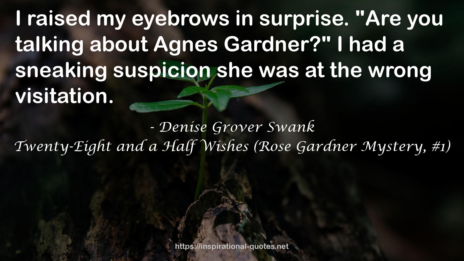 Denise Grover Swank QUOTES