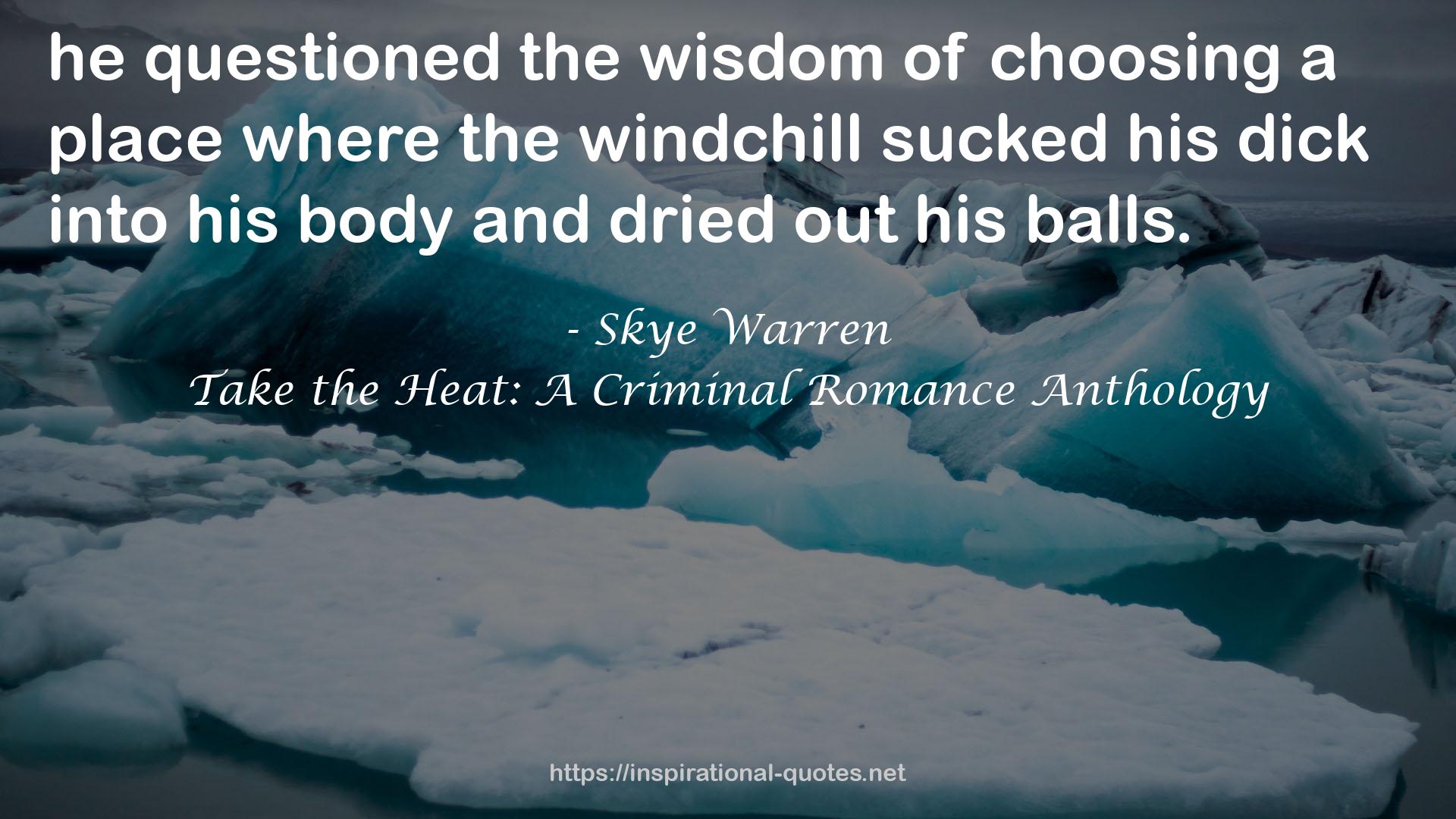 Take the Heat: A Criminal Romance Anthology QUOTES