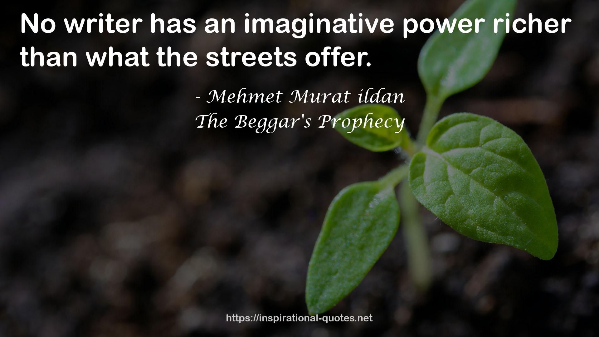 The Beggar's Prophecy QUOTES