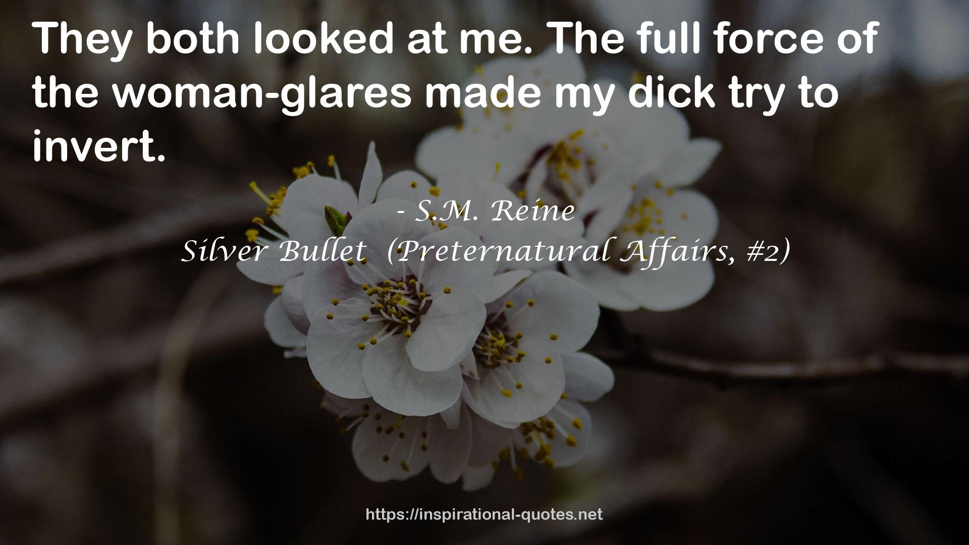 Silver Bullet  (Preternatural Affairs, #2) QUOTES