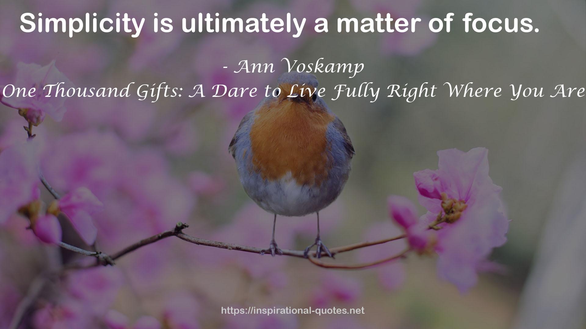 Ann Voskamp QUOTES