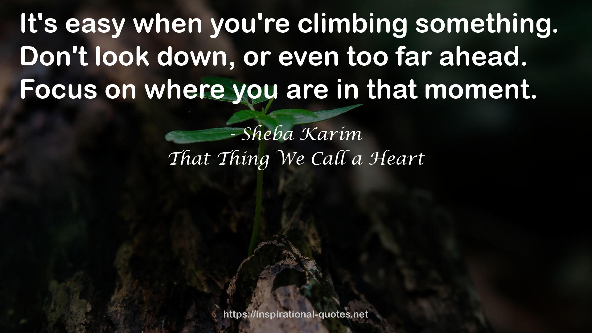 Sheba Karim QUOTES