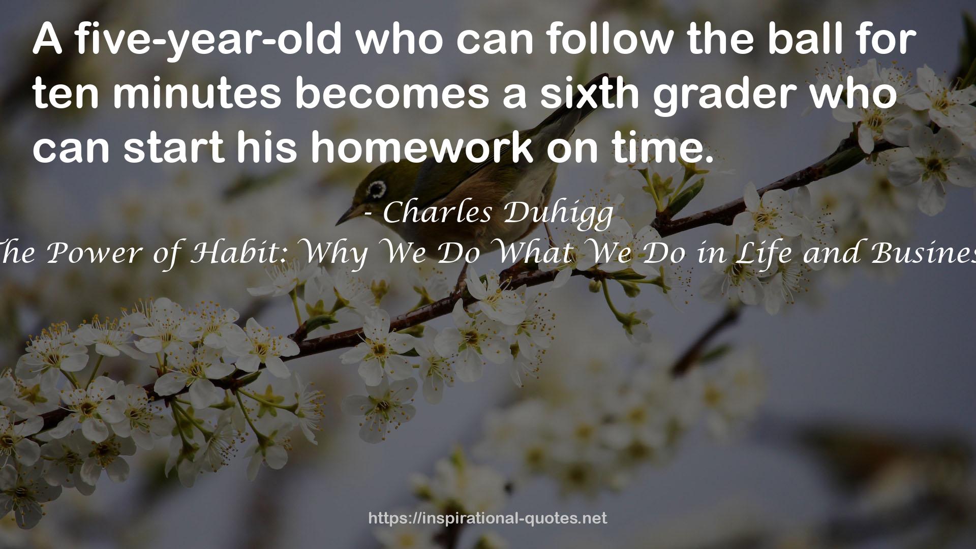 a sixth grader  QUOTES