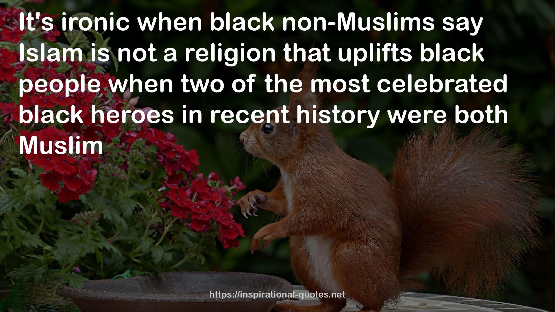 non-Muslims  QUOTES