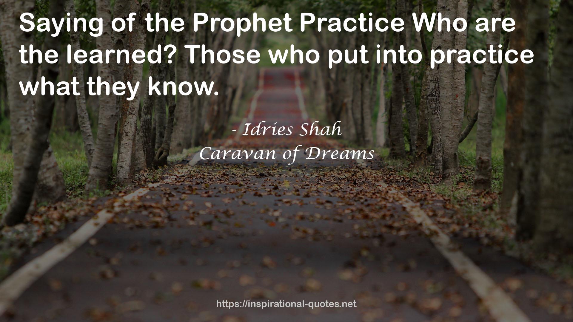 ProphetPracticeWho  QUOTES