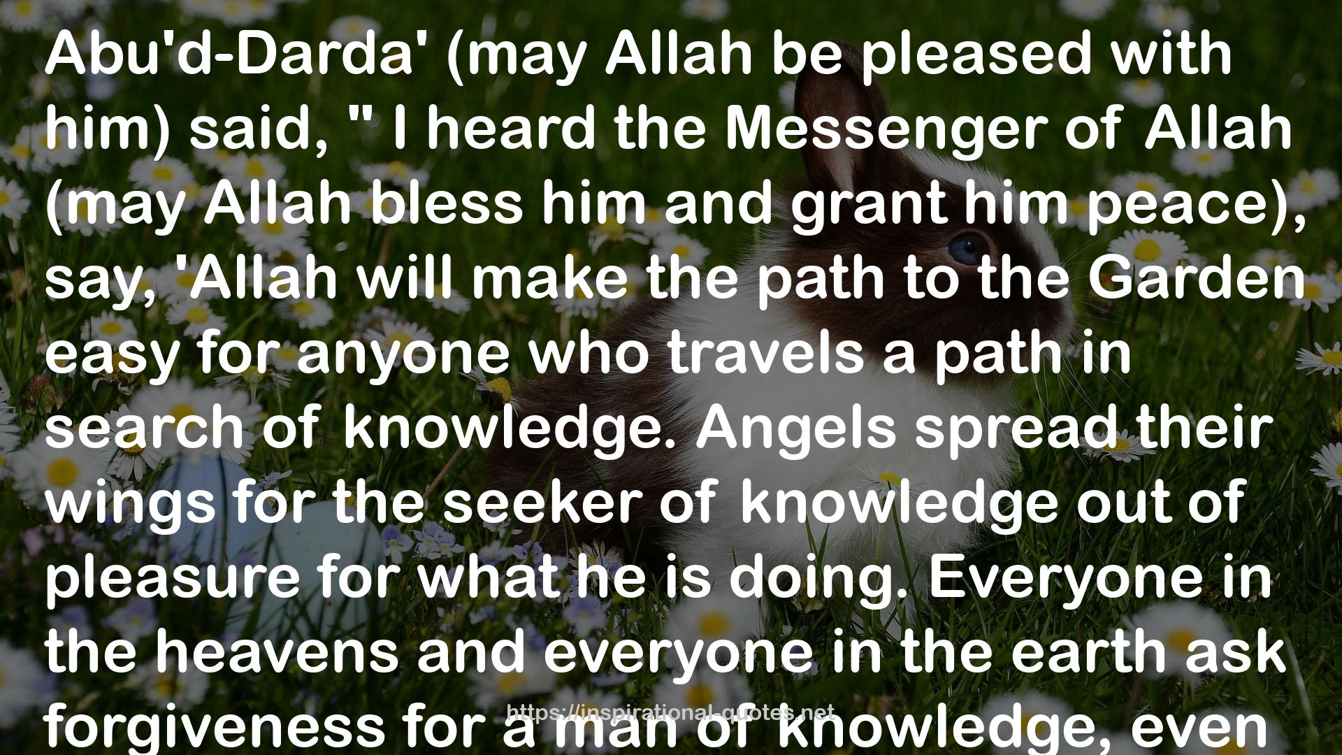 the Messenger of Allah  QUOTES