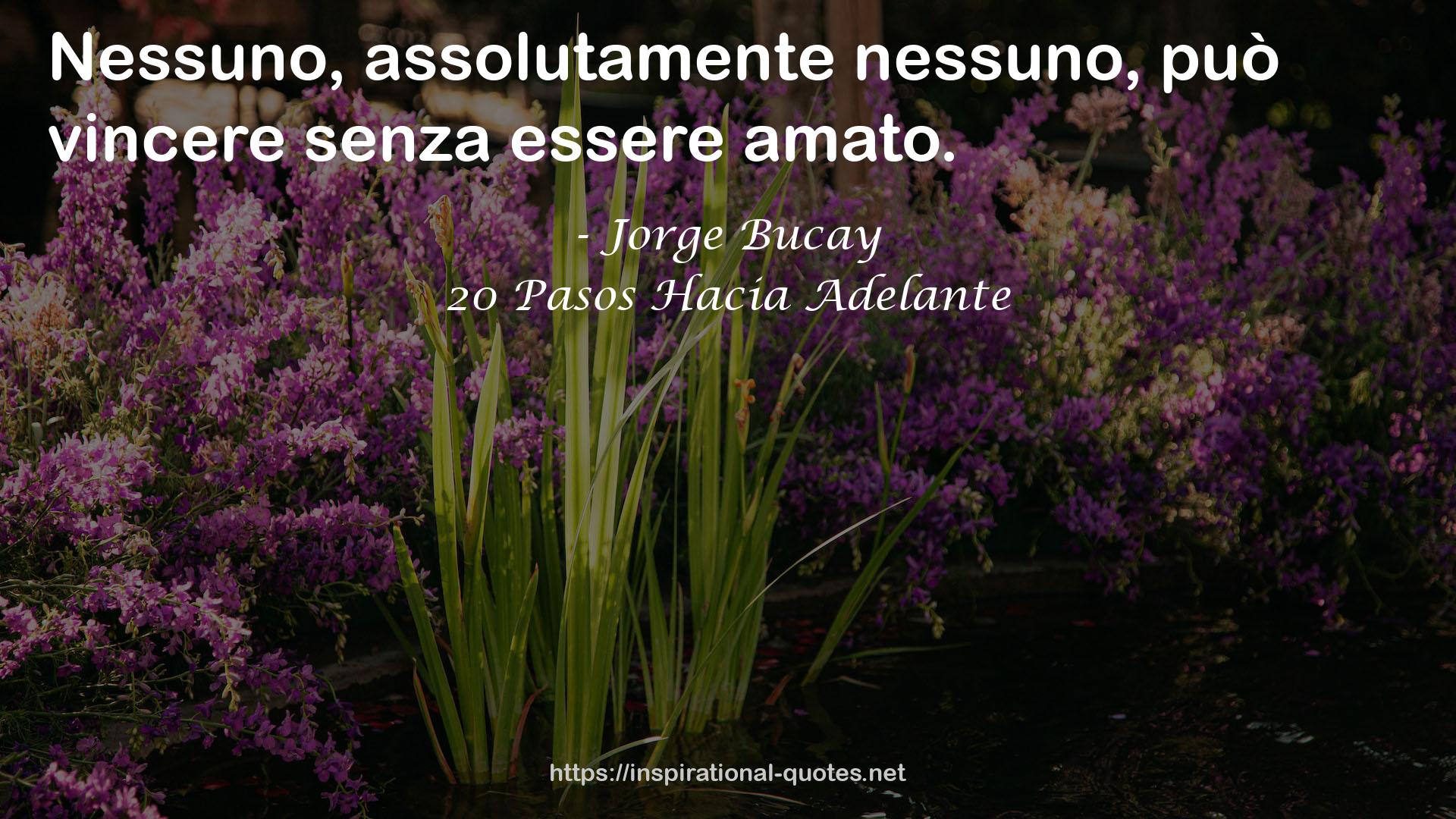 20 Pasos Hacia Adelante QUOTES