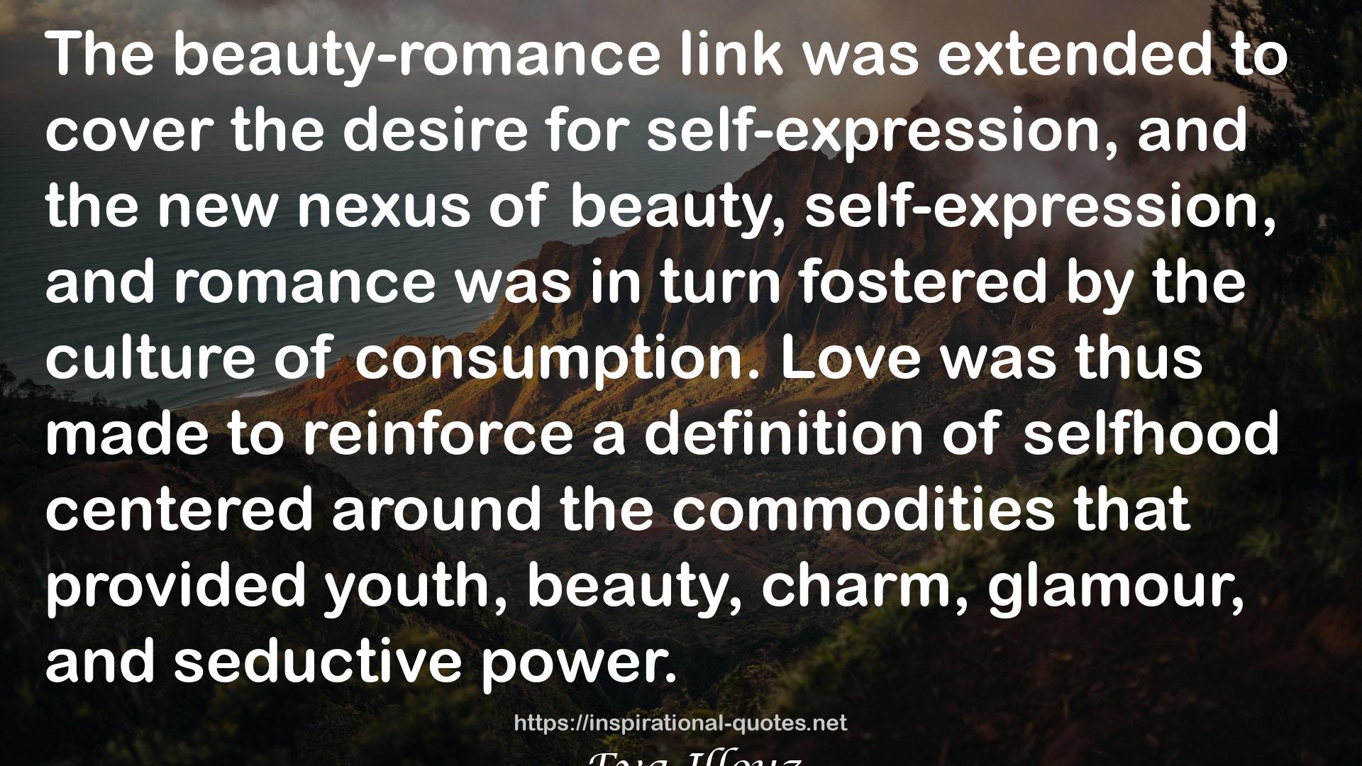 Consuming the Romantic Utopia: Love and the Cultural Contradictions of Capitalism QUOTES