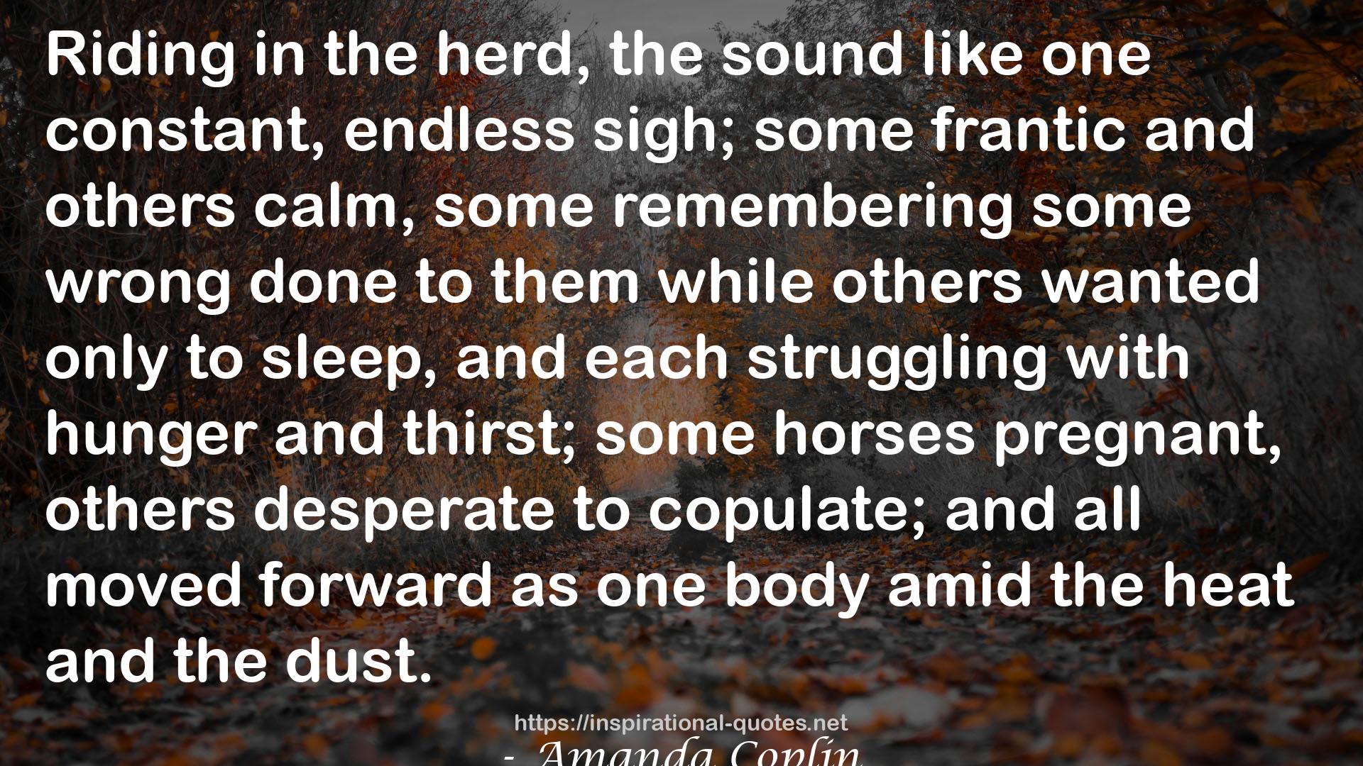 Amanda Coplin QUOTES