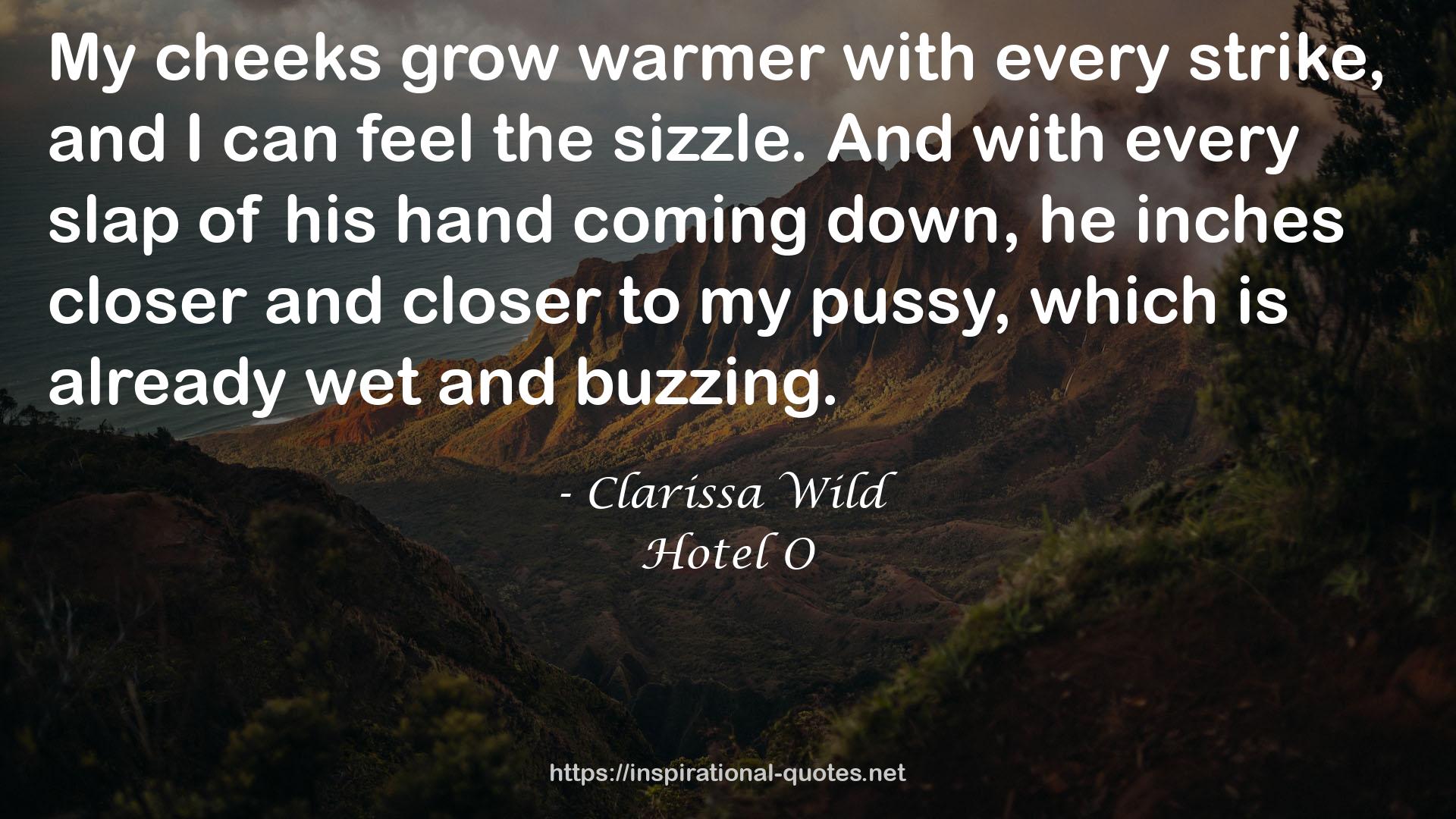 Clarissa Wild QUOTES